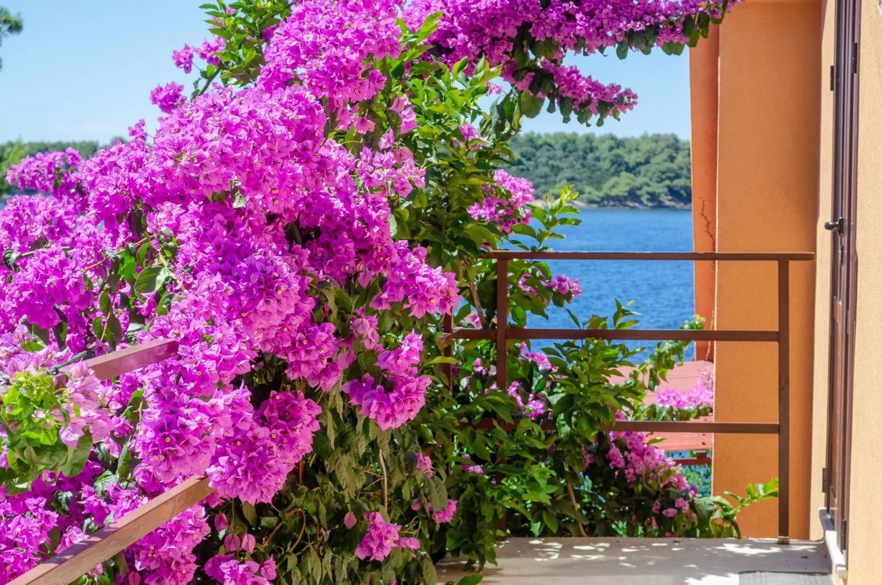 Property building in Apartments Ljiljana