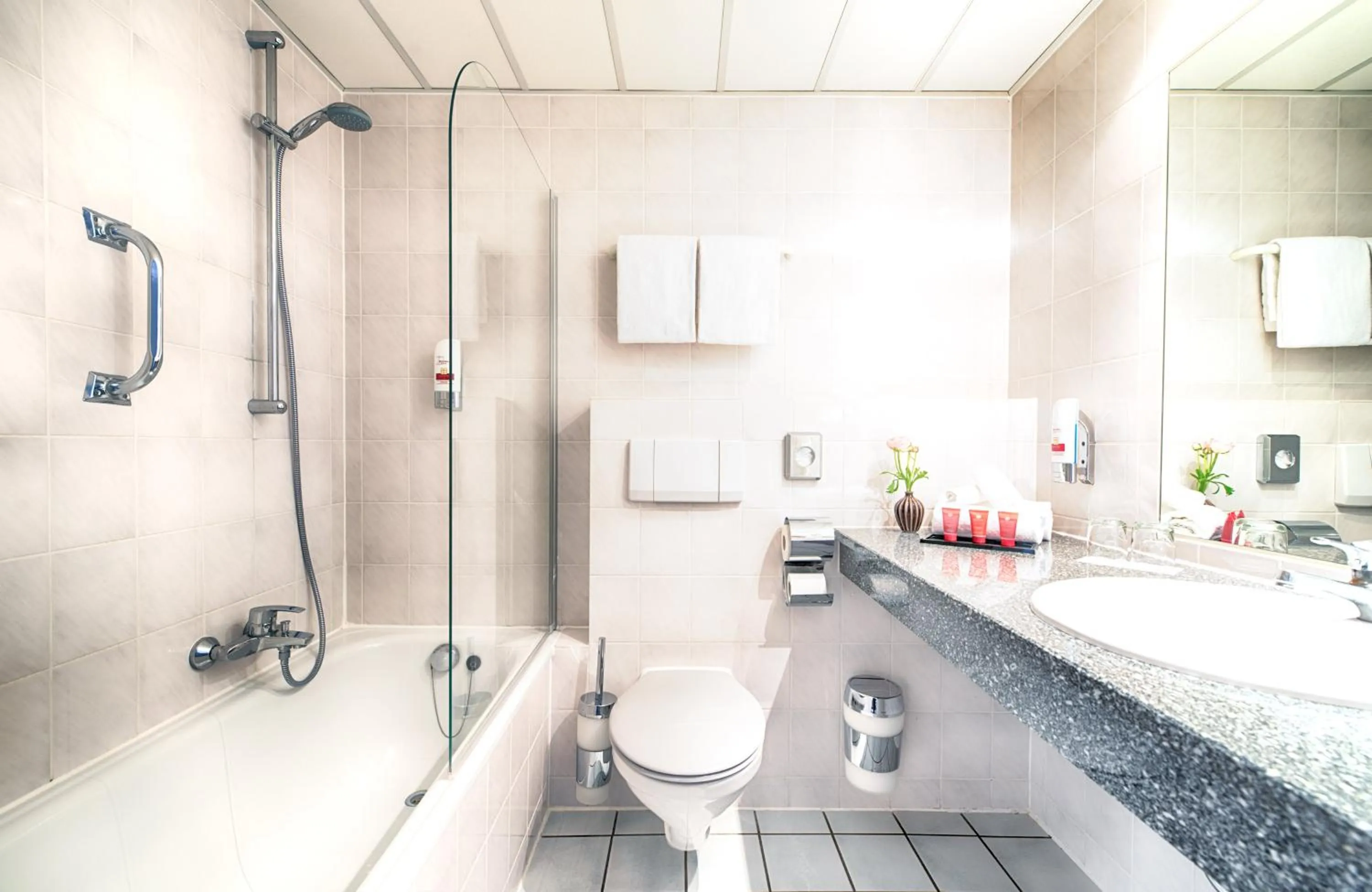 Bathroom in Leonardo Hotel Mannheim-Ladenburg