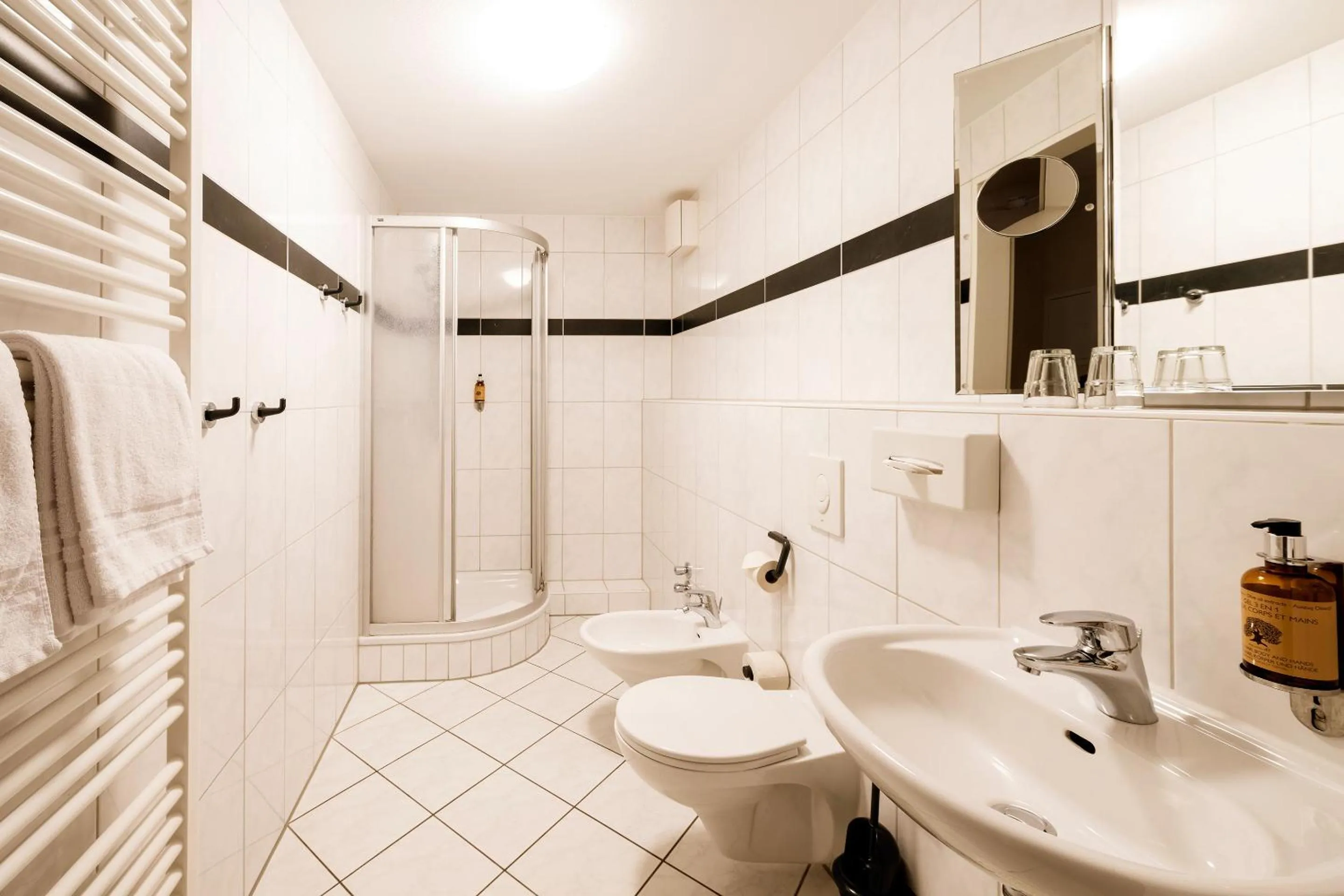 Shower in Apparthotel Bad Schandau by STEIGER Hotels