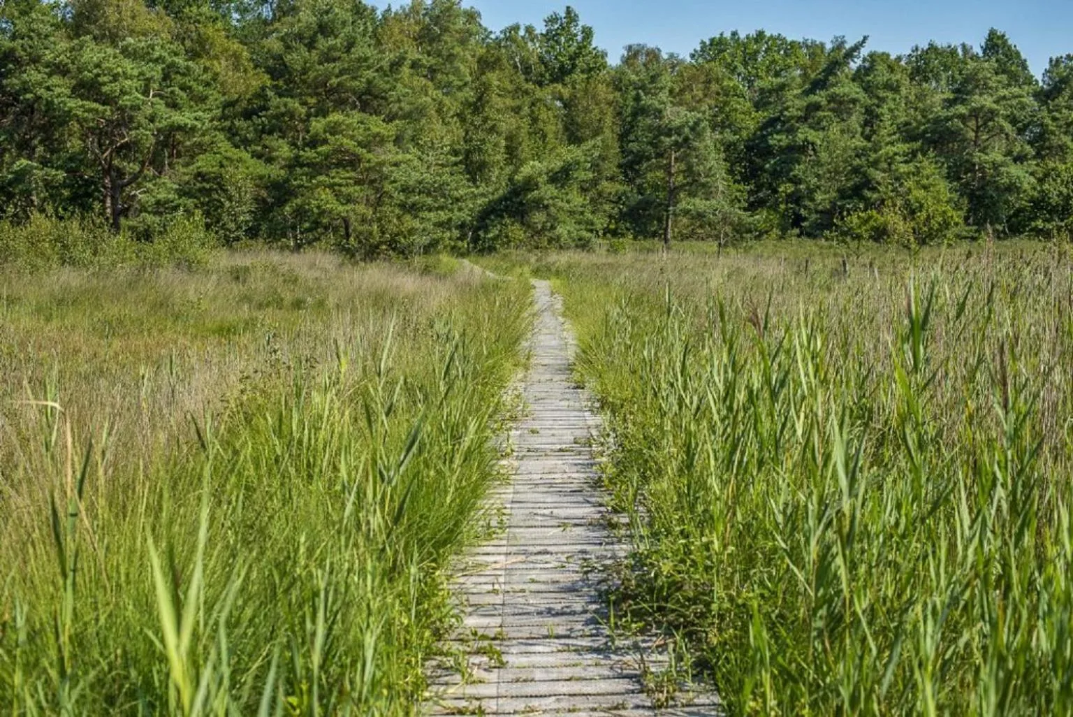 Natural landscape in B&B El Bayo