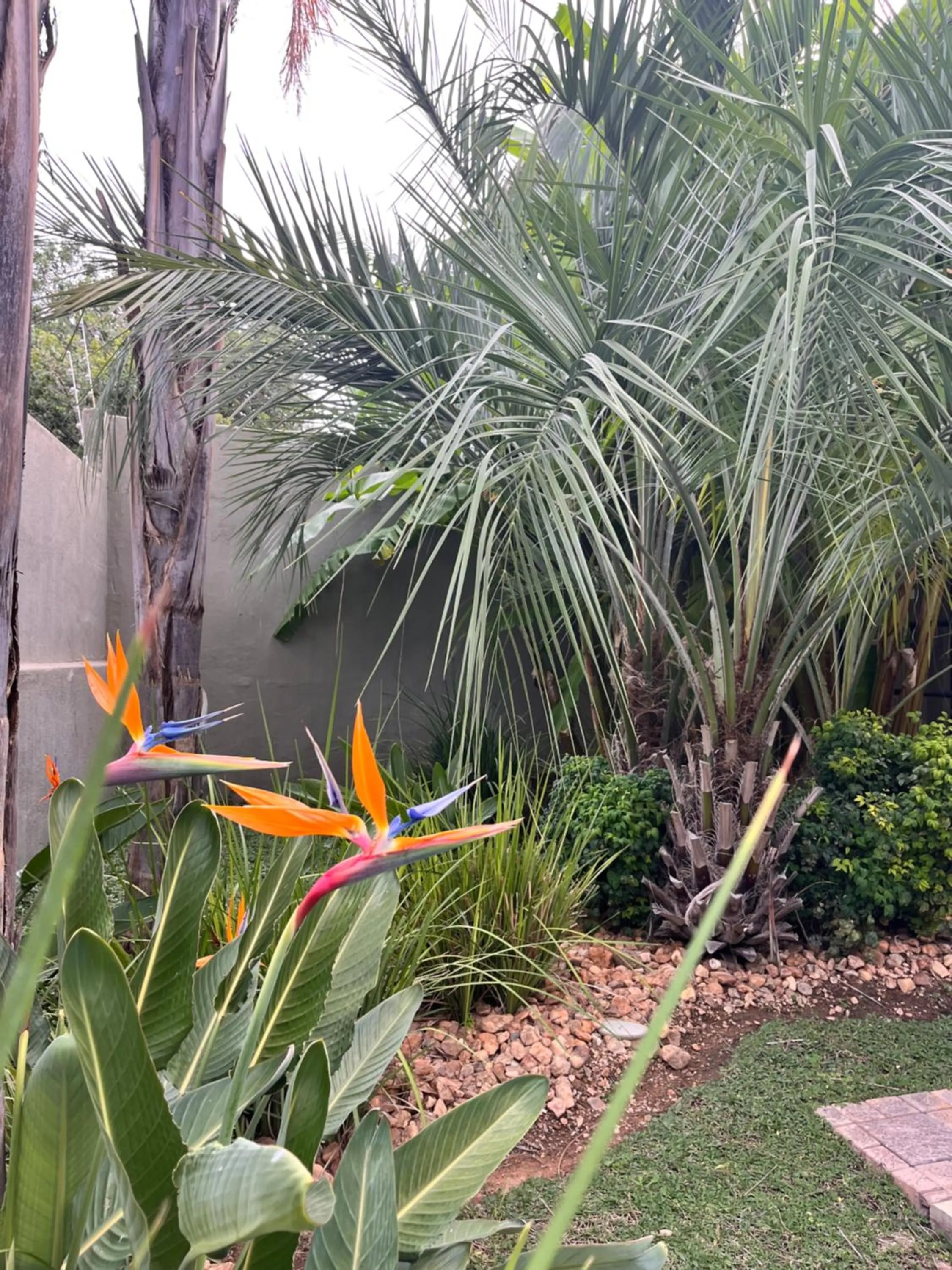 Garden in Hillside Executive Accommodation