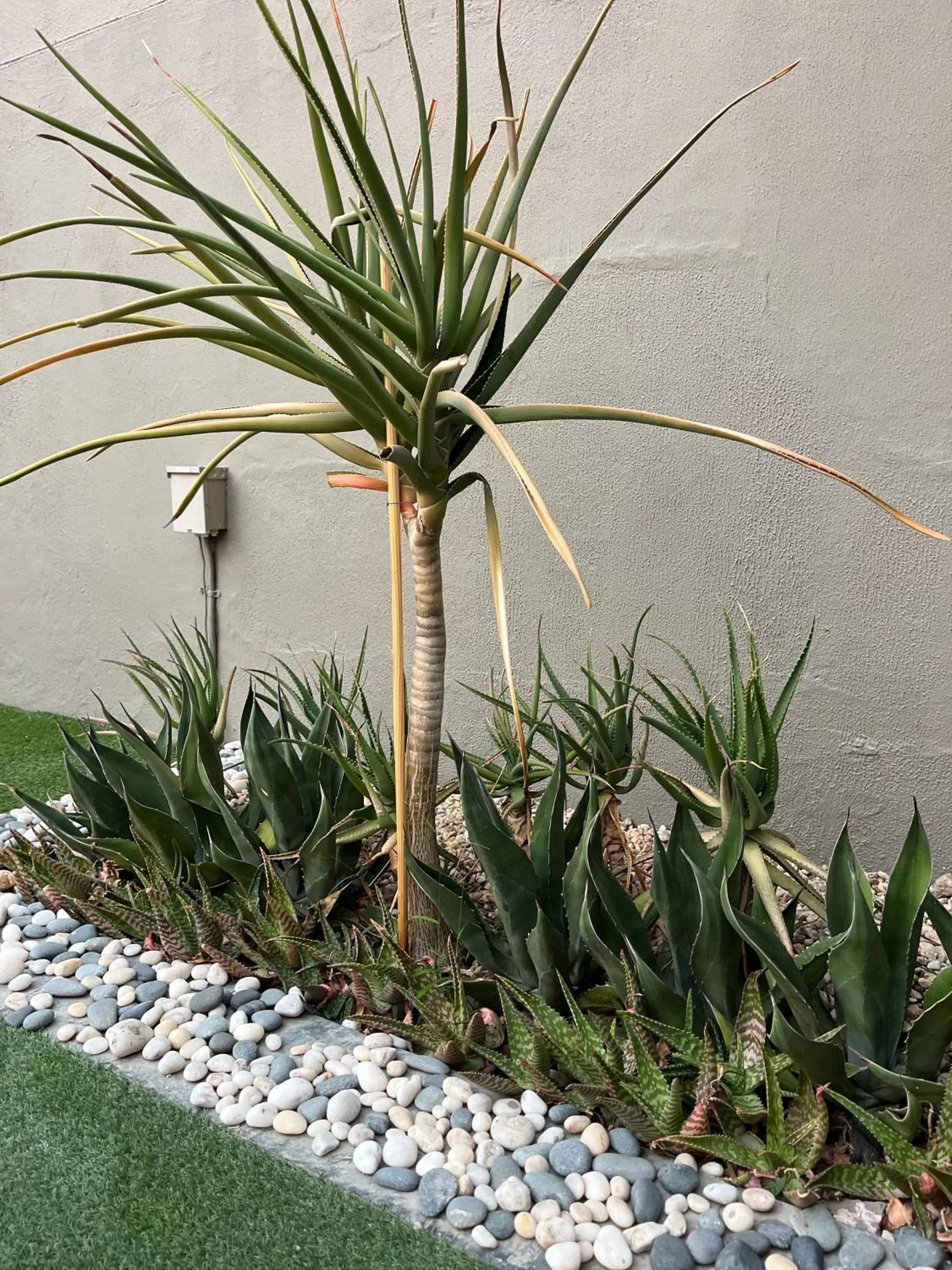 Garden in Hillside Executive Accommodation