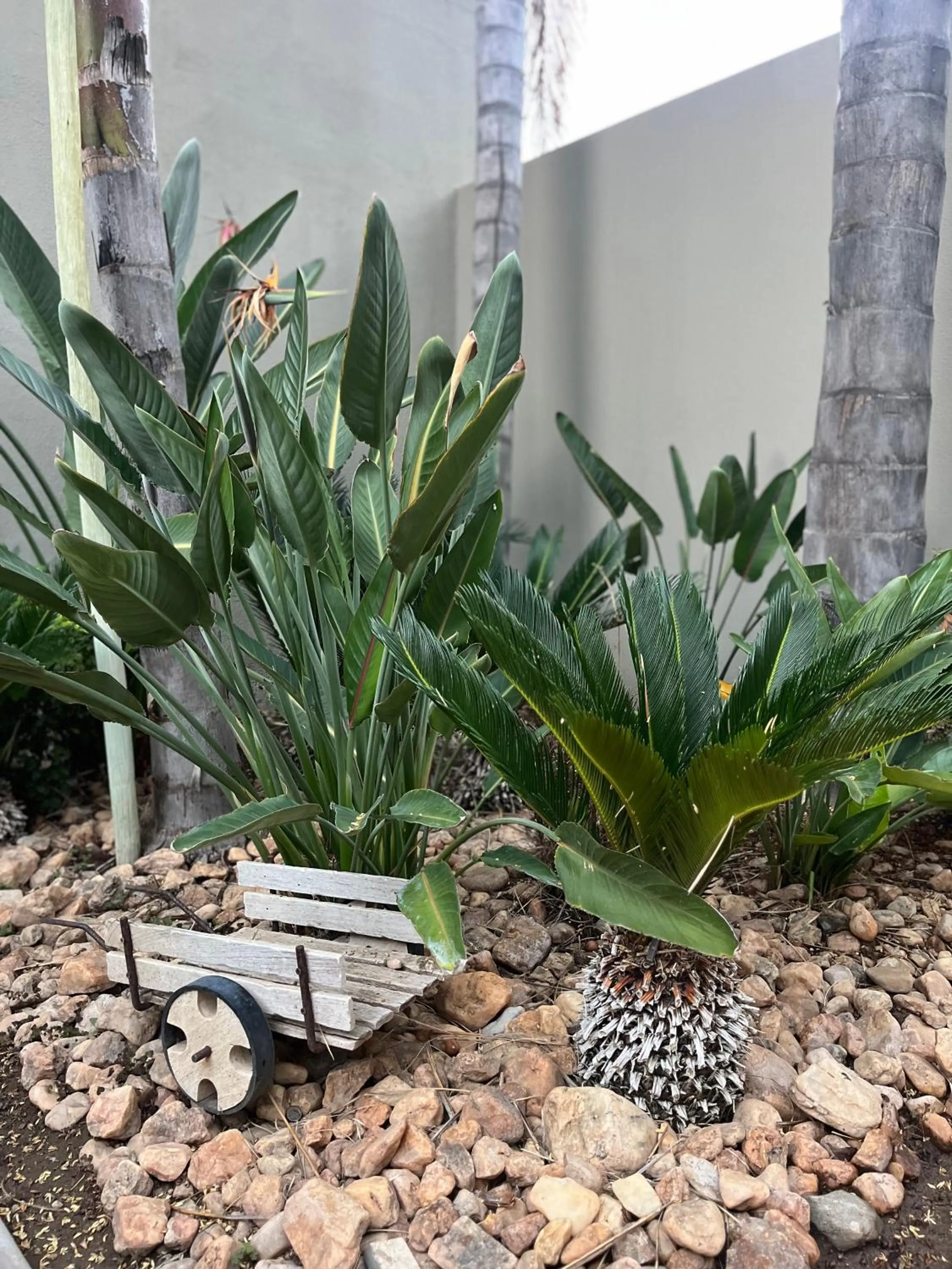 Garden in Hillside Executive Accommodation