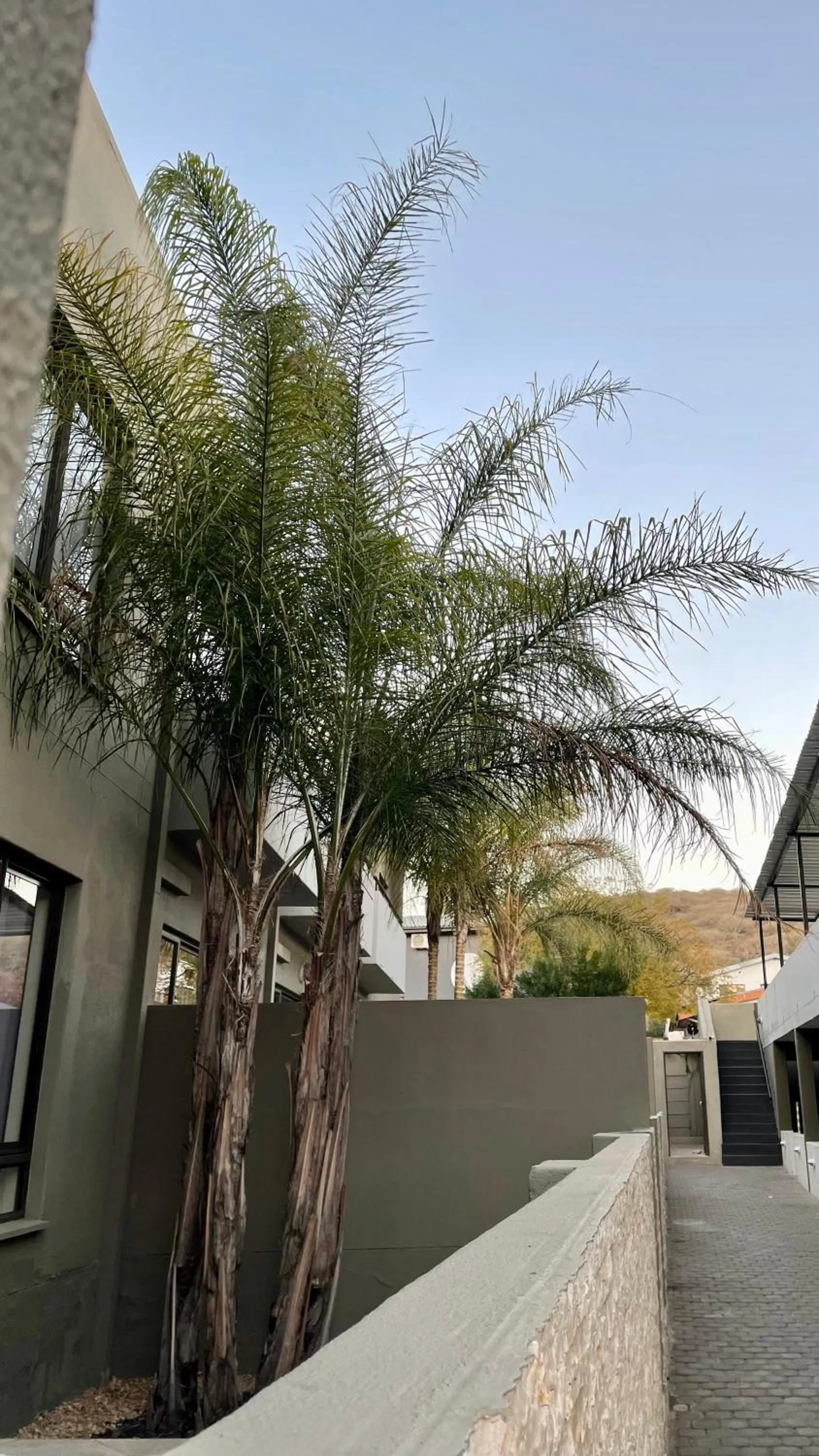 Day in Hillside Executive Accommodation