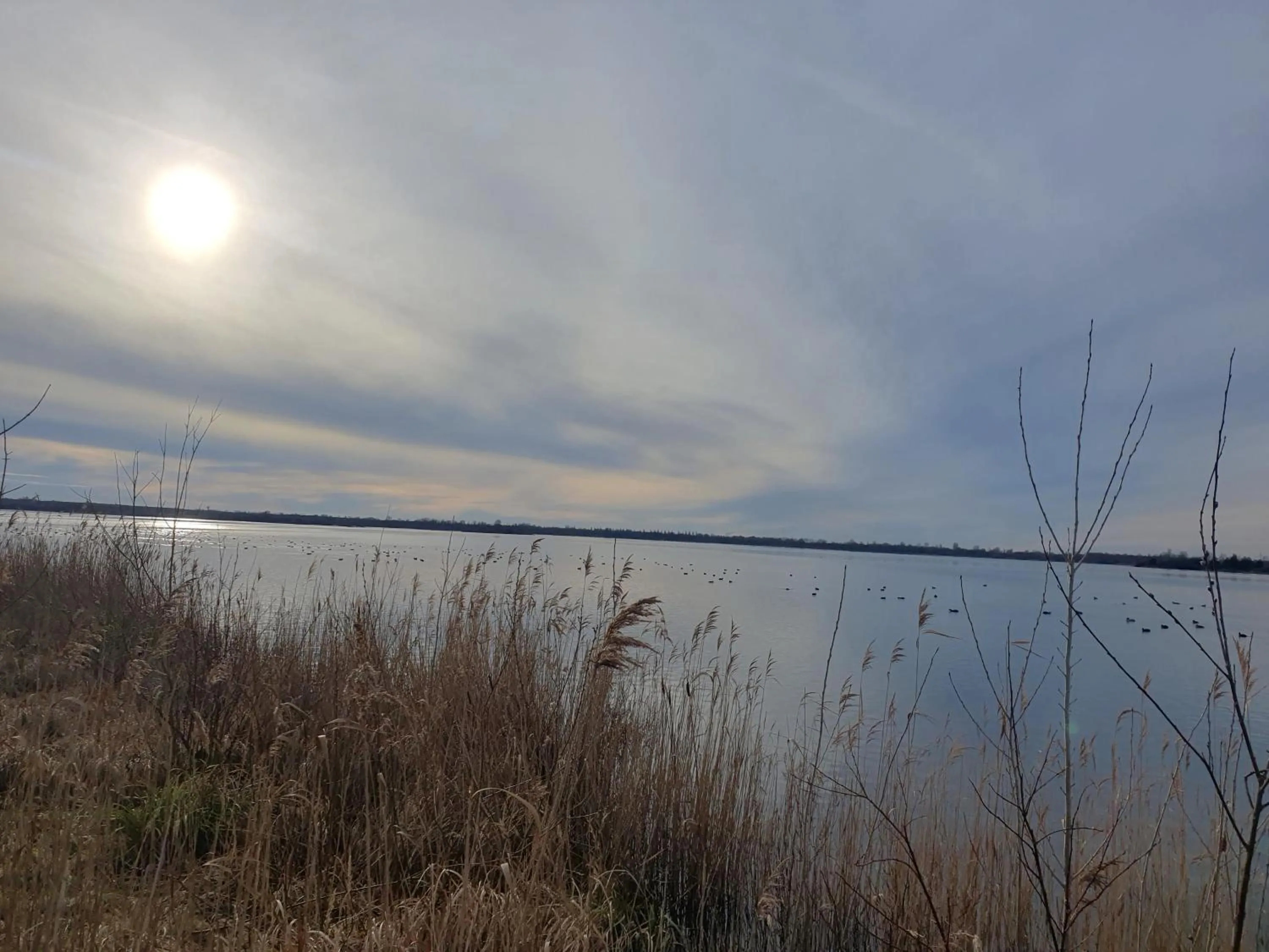 Natural landscape in Hotel-Pension Grüne Linde