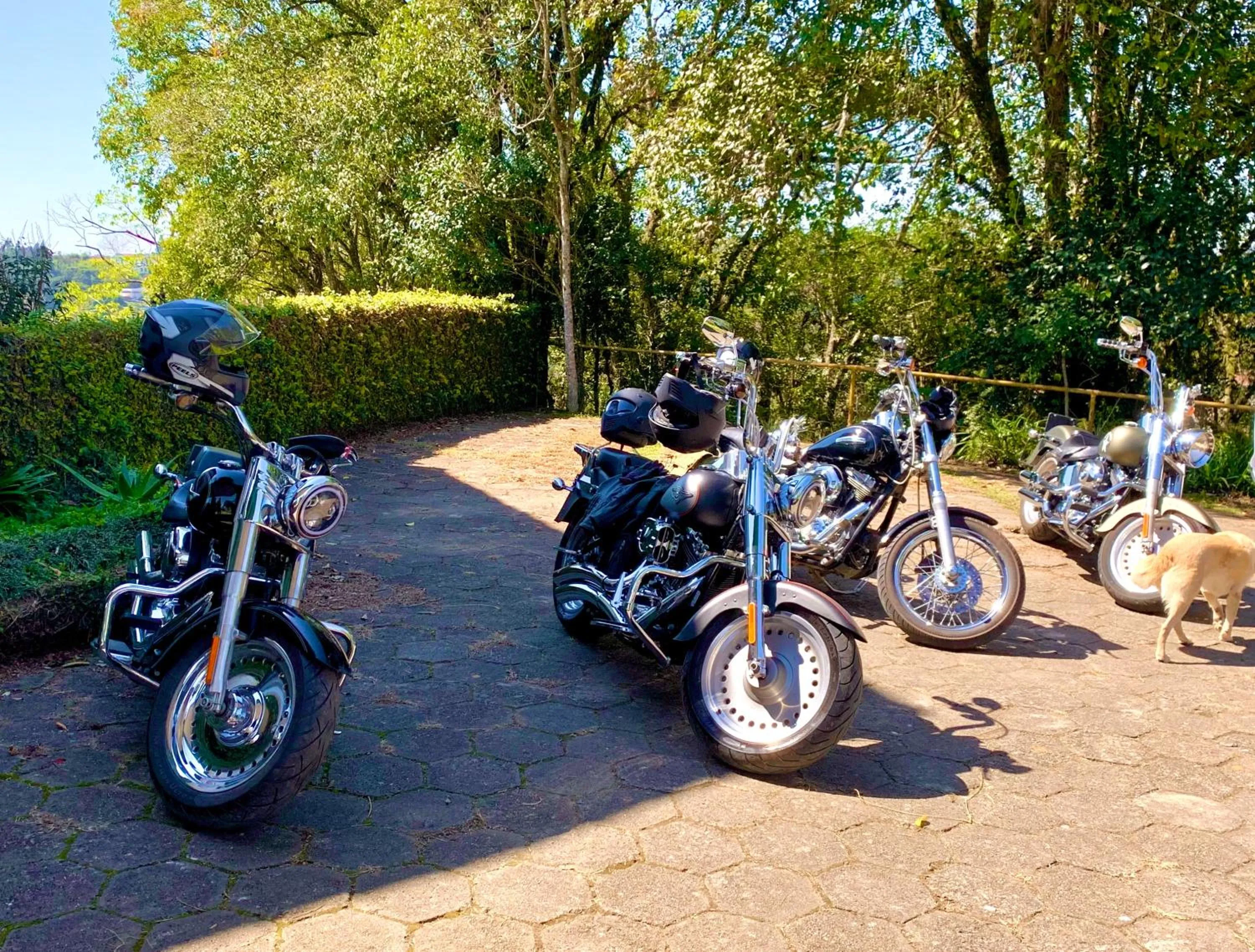 People in Hotel Pousada Joao de Barro