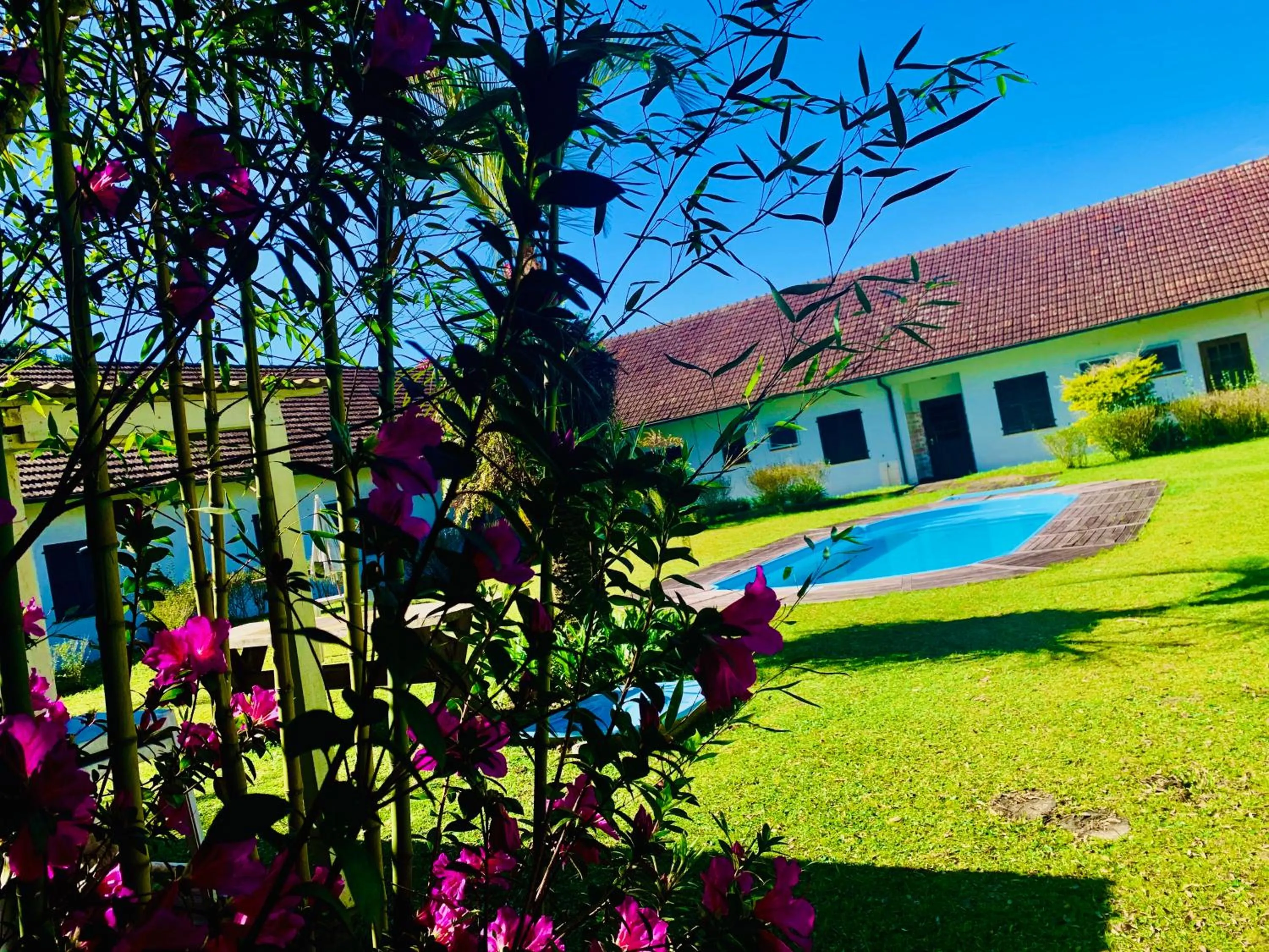 Garden view in Hotel Pousada Joao de Barro