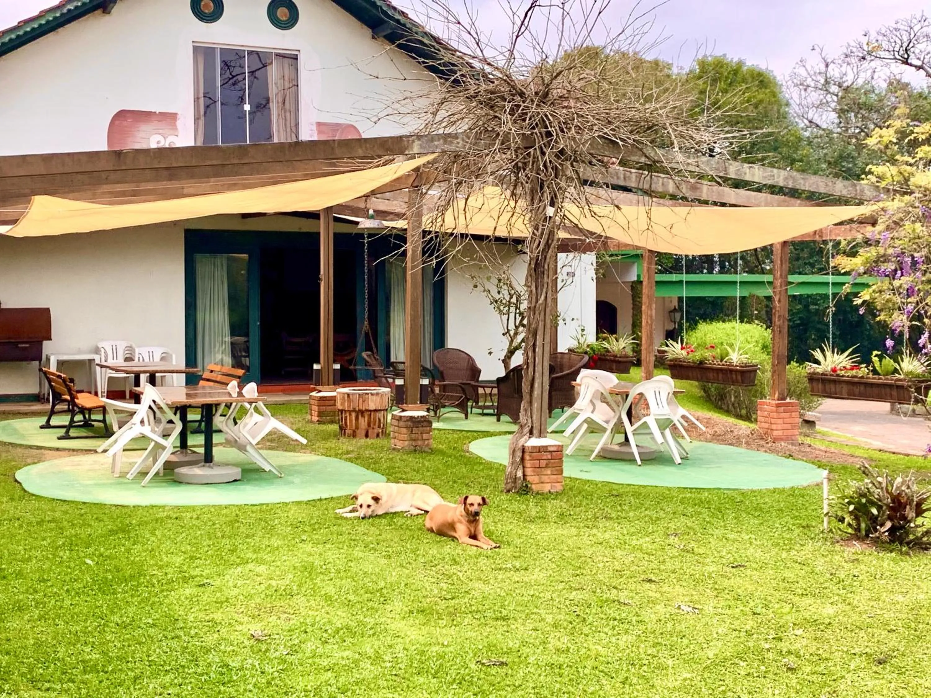 Lounge or bar in Hotel Pousada Joao de Barro