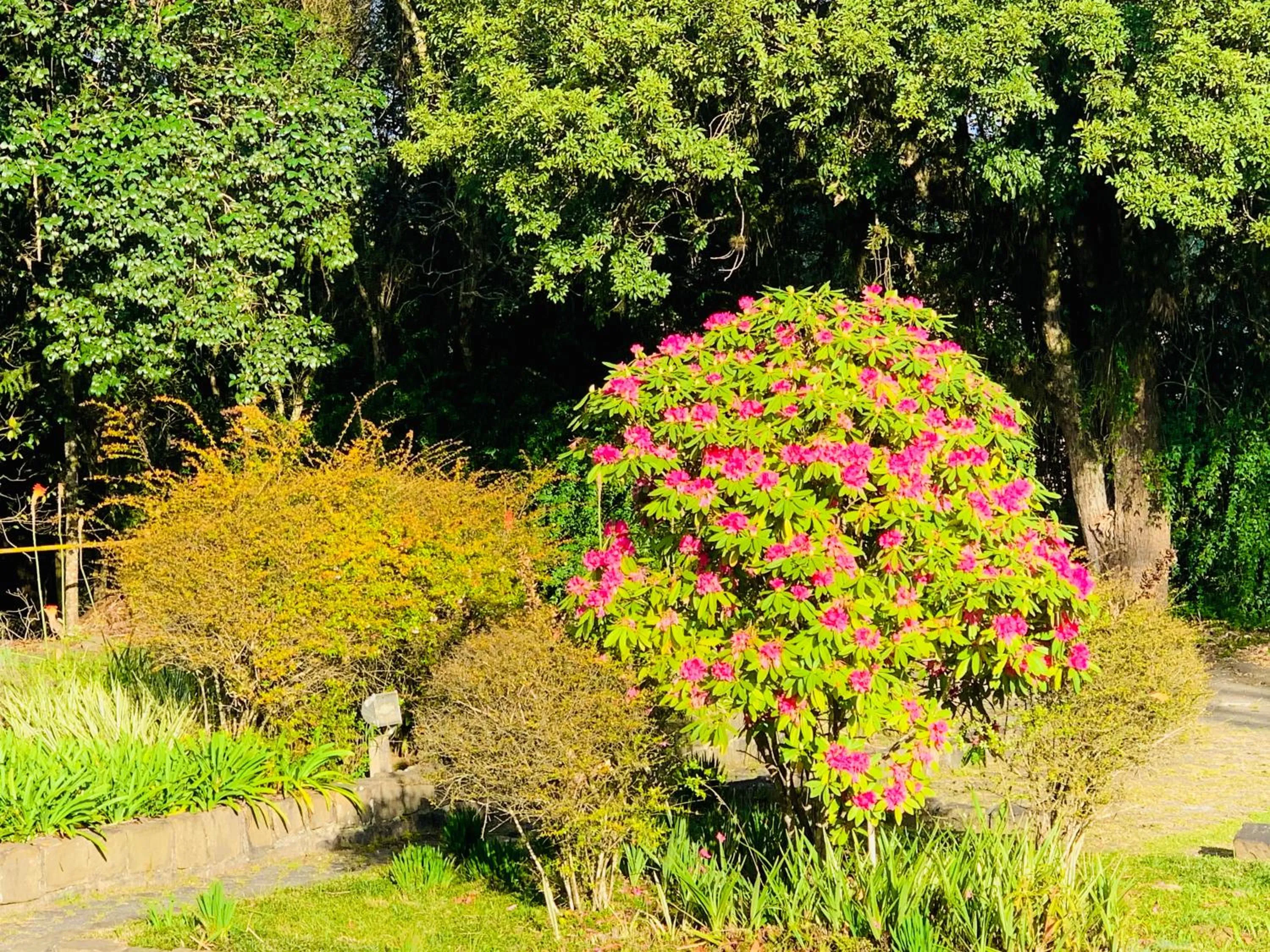 Garden in Hotel Pousada Joao de Barro