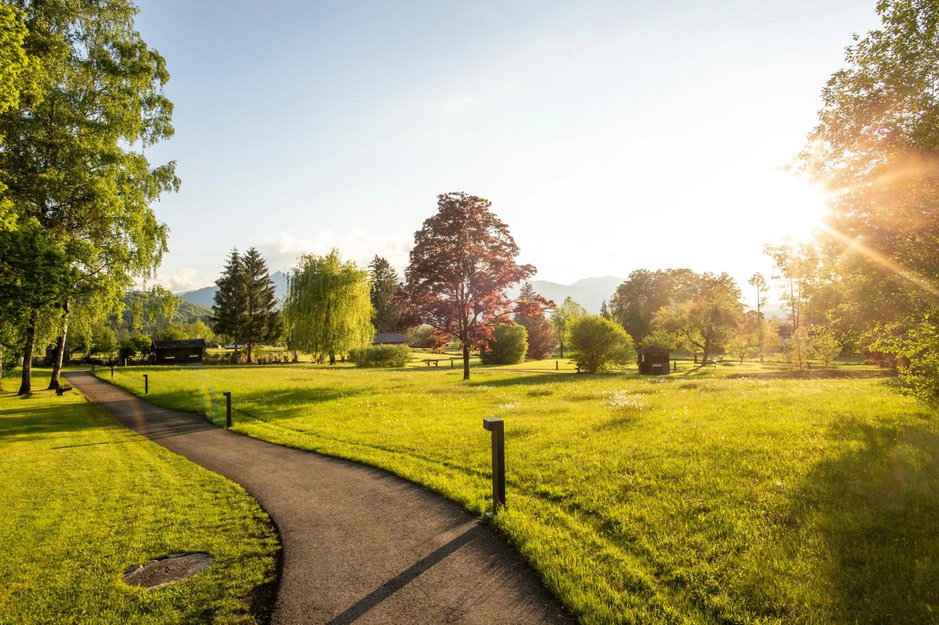Patio in Hotel Alpenblick
