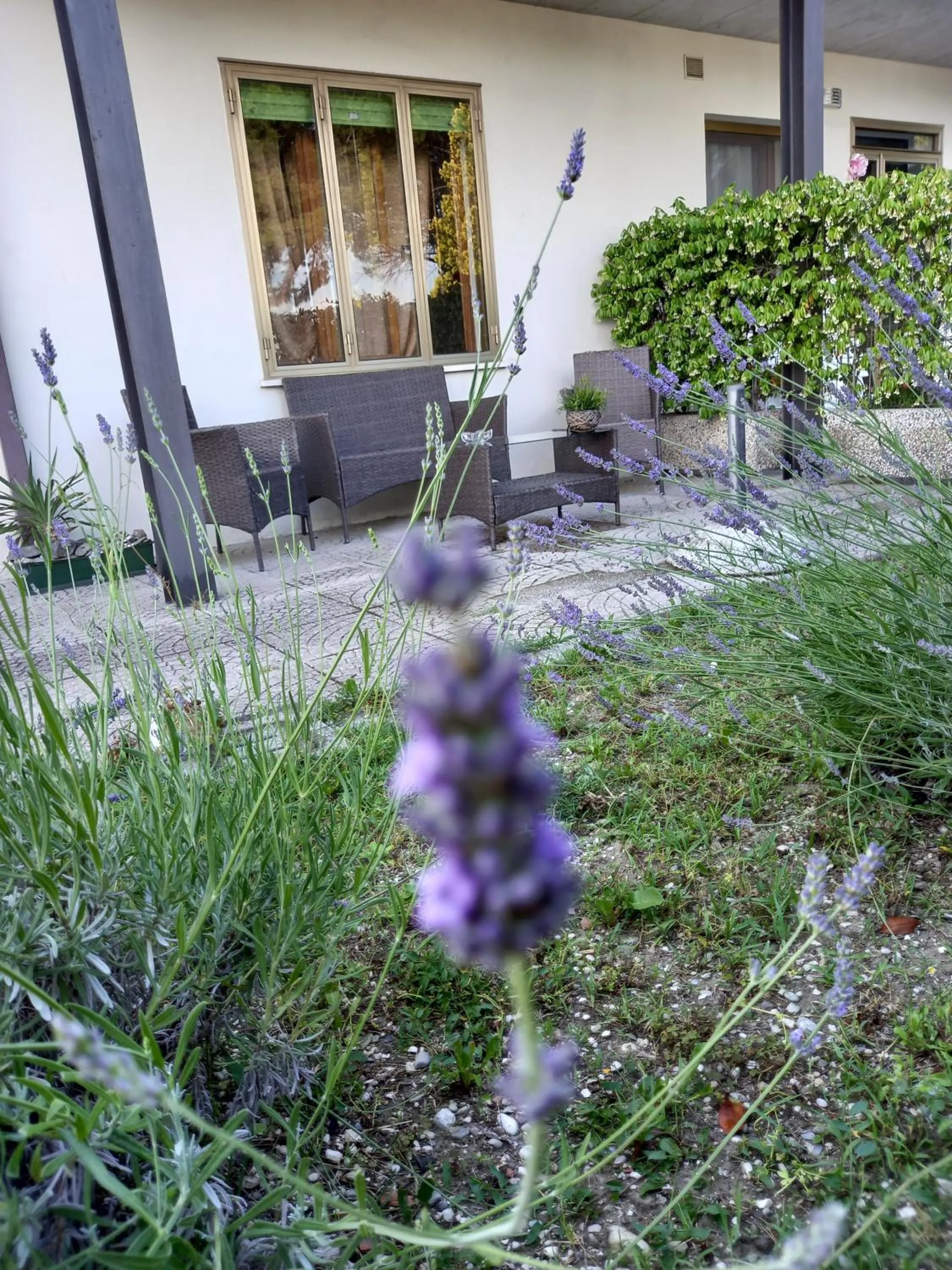 Property building in Alloggi Adamo Venice