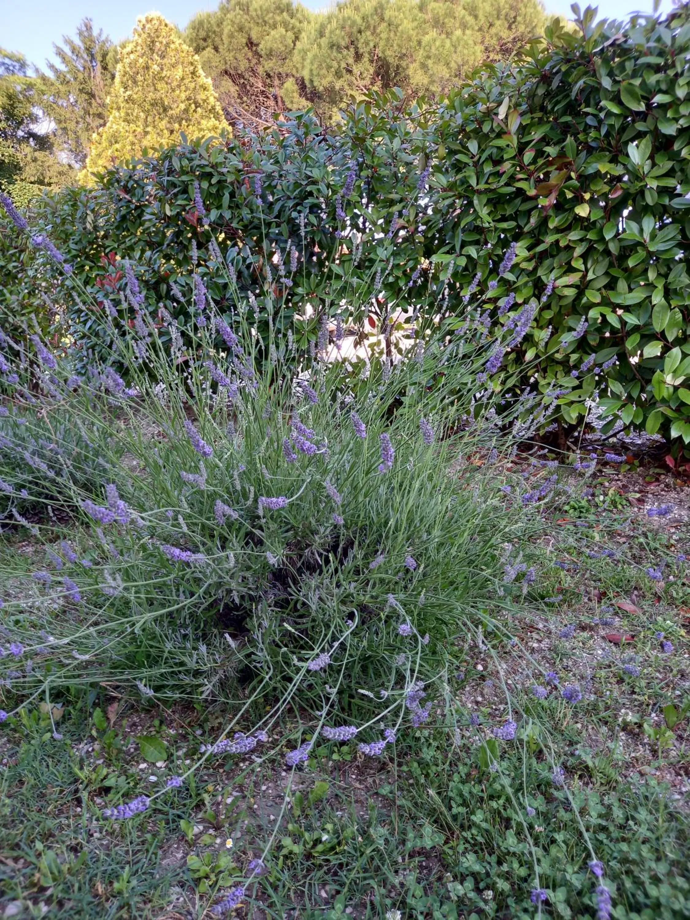 Property building in Alloggi Adamo Venice