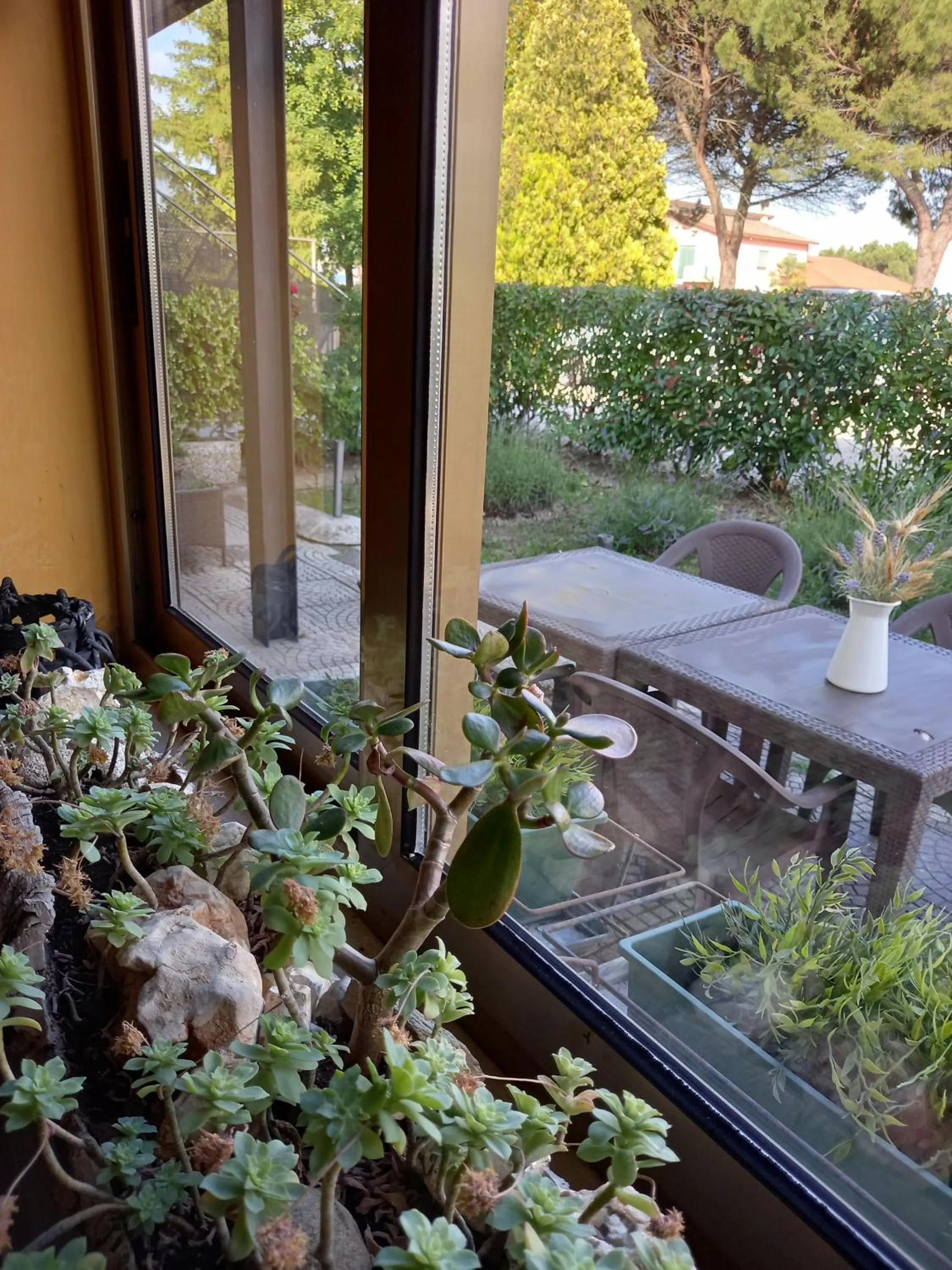 Garden in Alloggi Adamo Venice