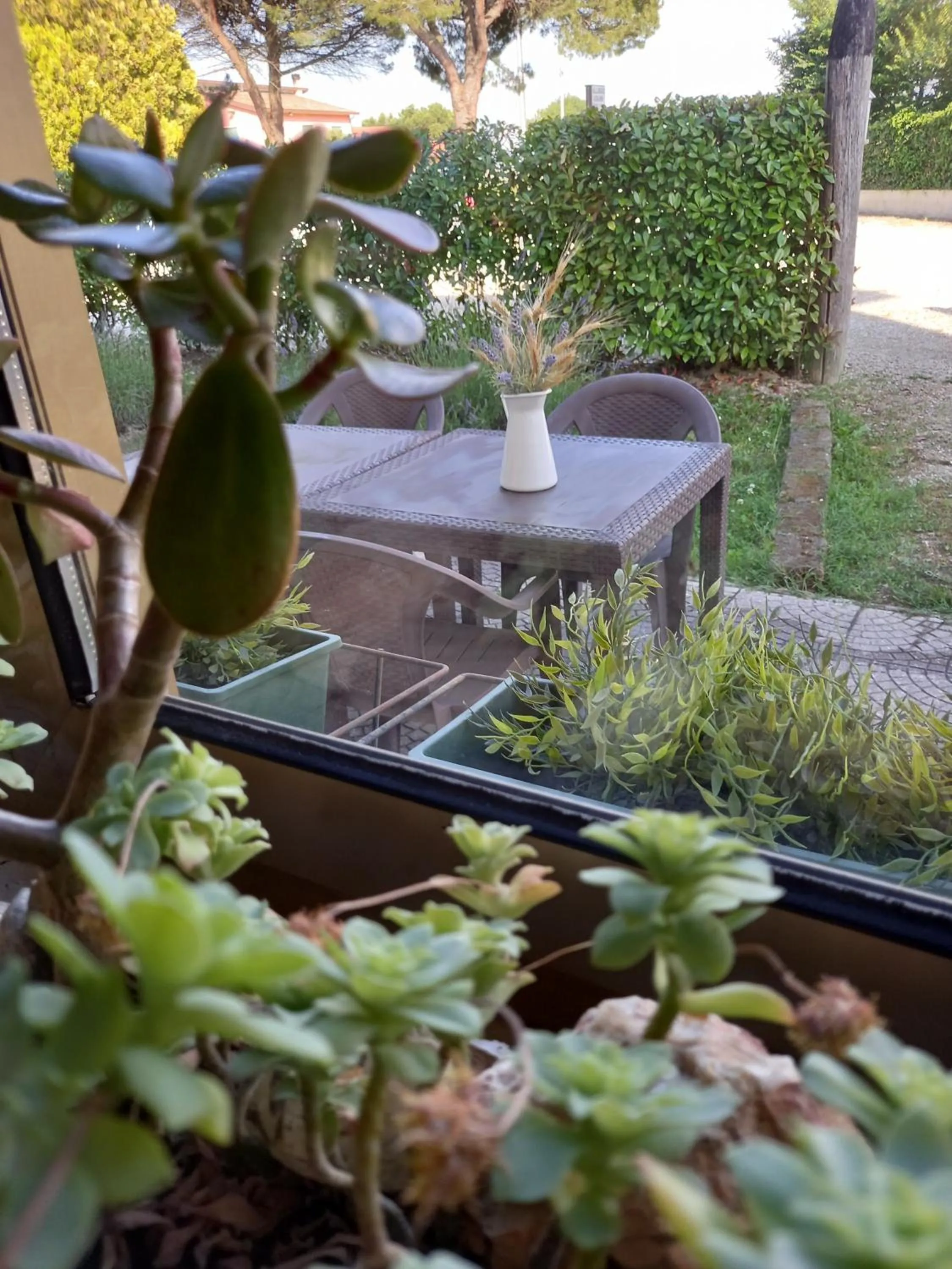 Lobby or reception in Alloggi Adamo Venice