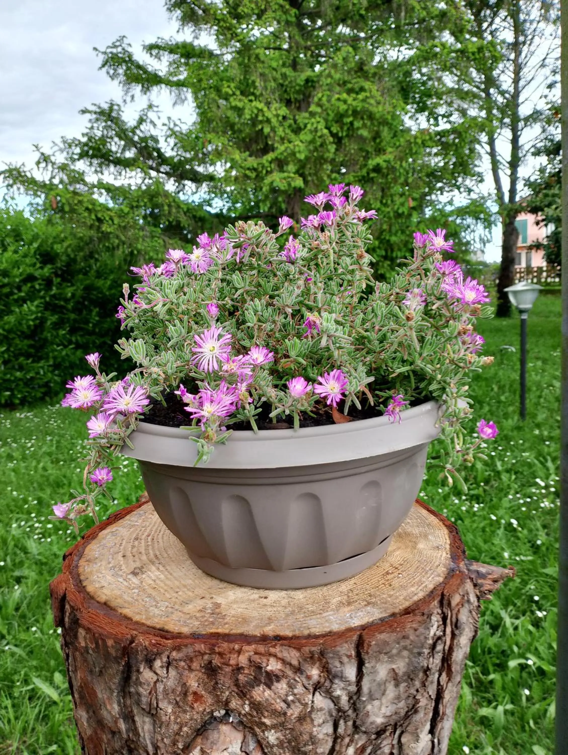 Alloggi Adamo Venice