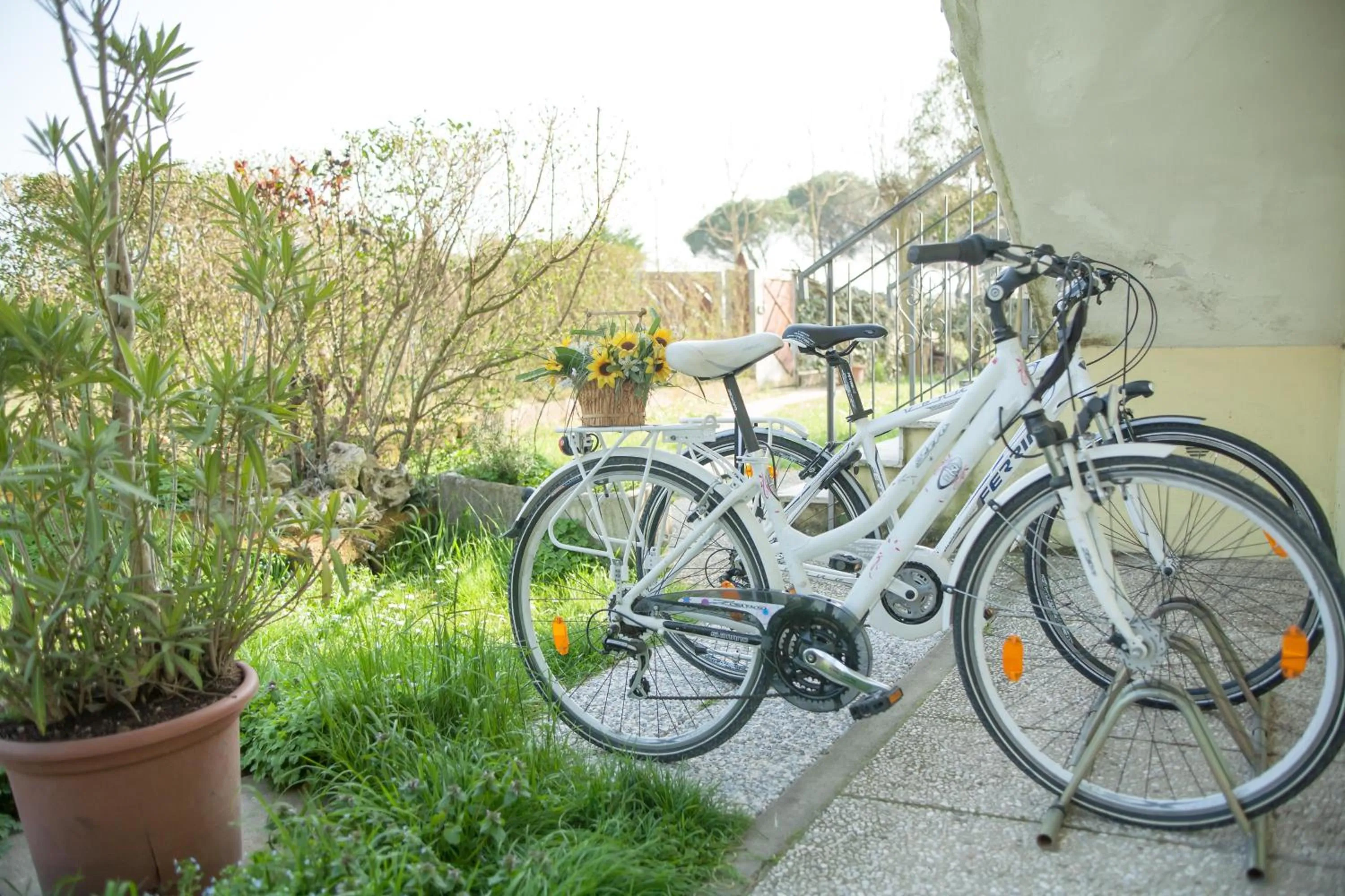 Cycling in Alloggi Adamo Venice