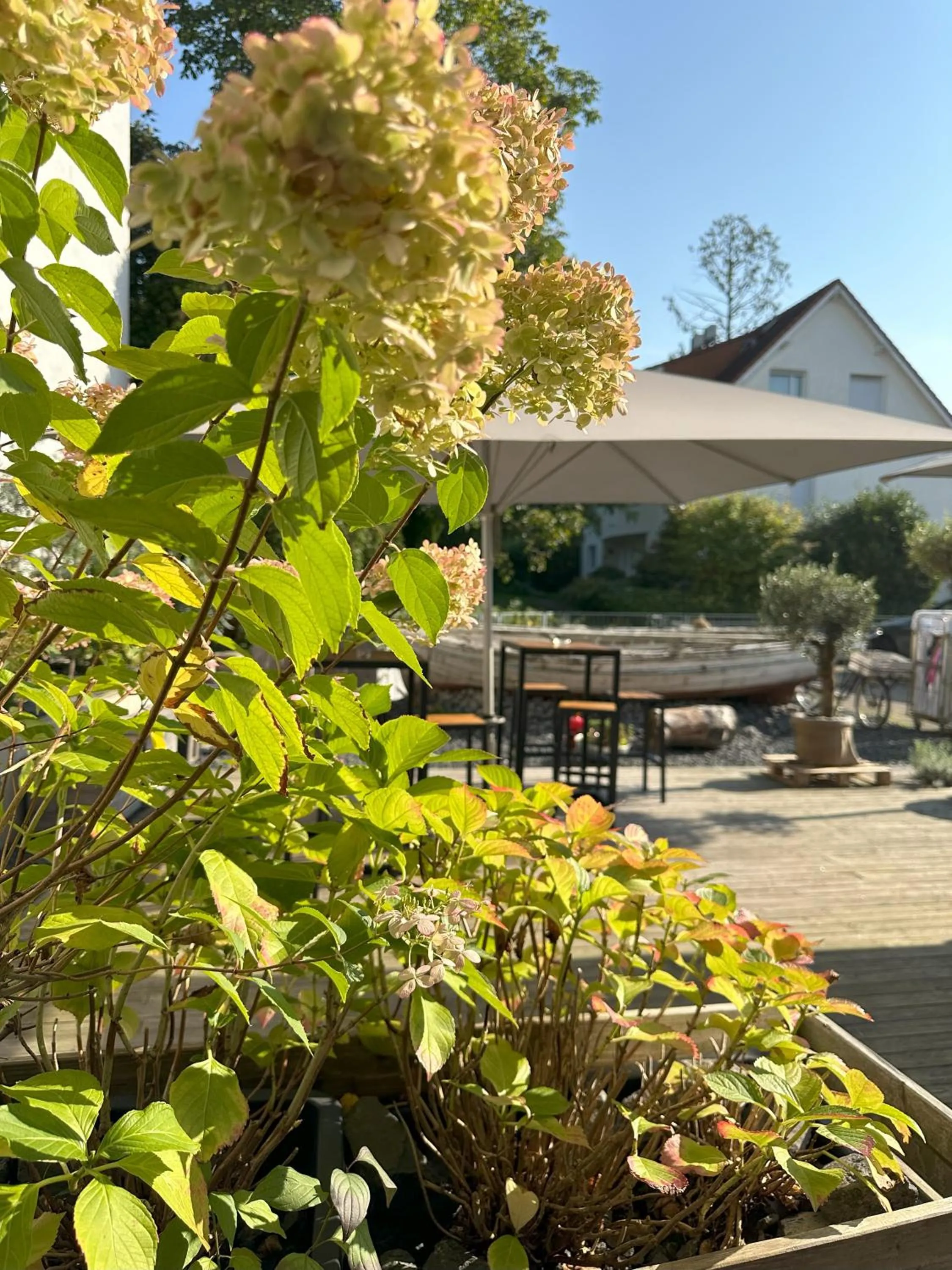 Property building in Hotel52 Bergheim