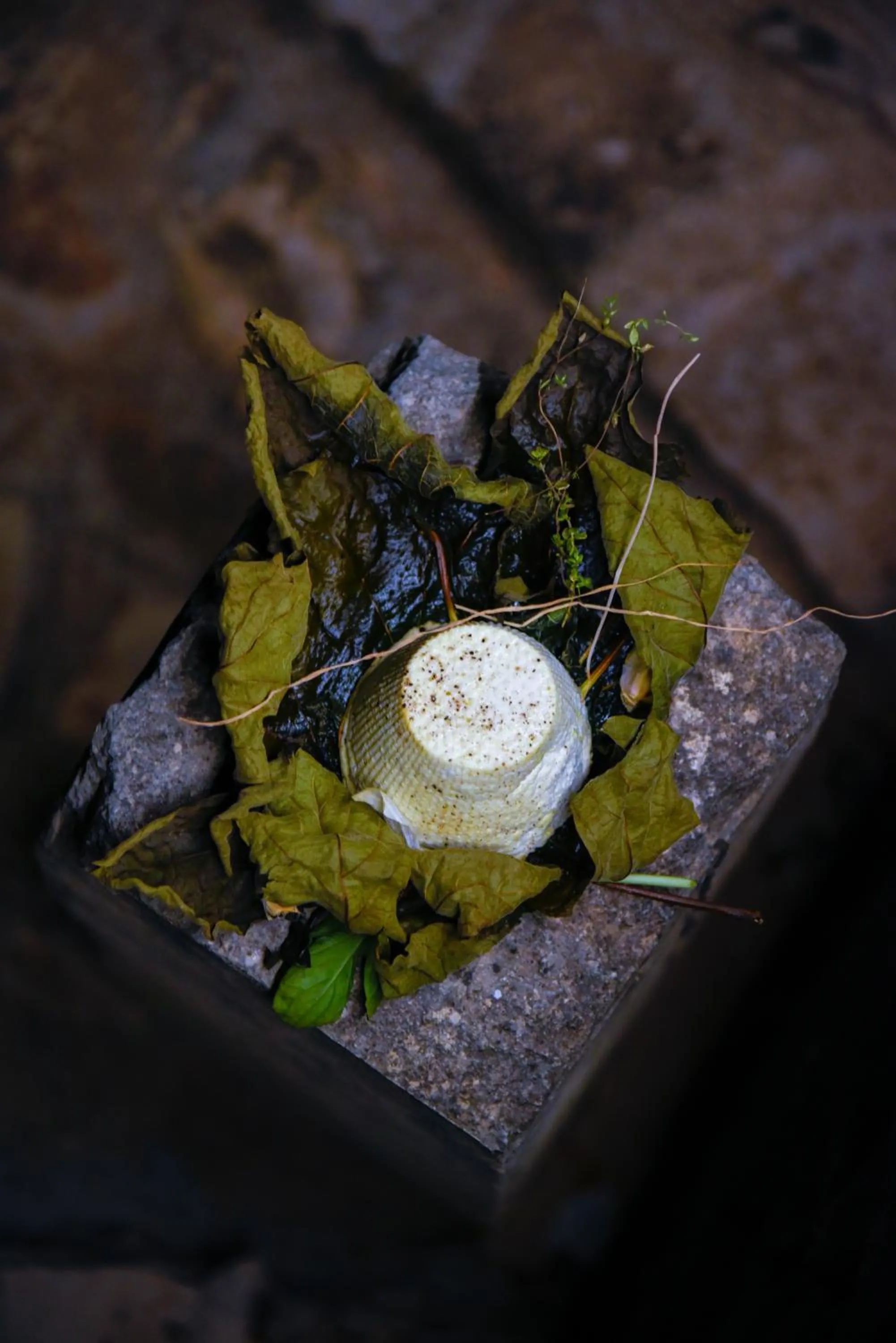 Restaurant/places to eat in La Restuccia Masseria Urban - DiscoHotel