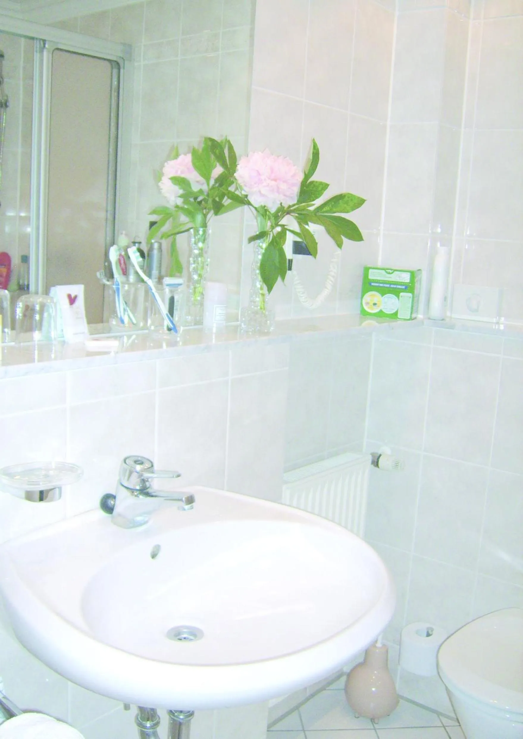 Toilet in Schaperkrug