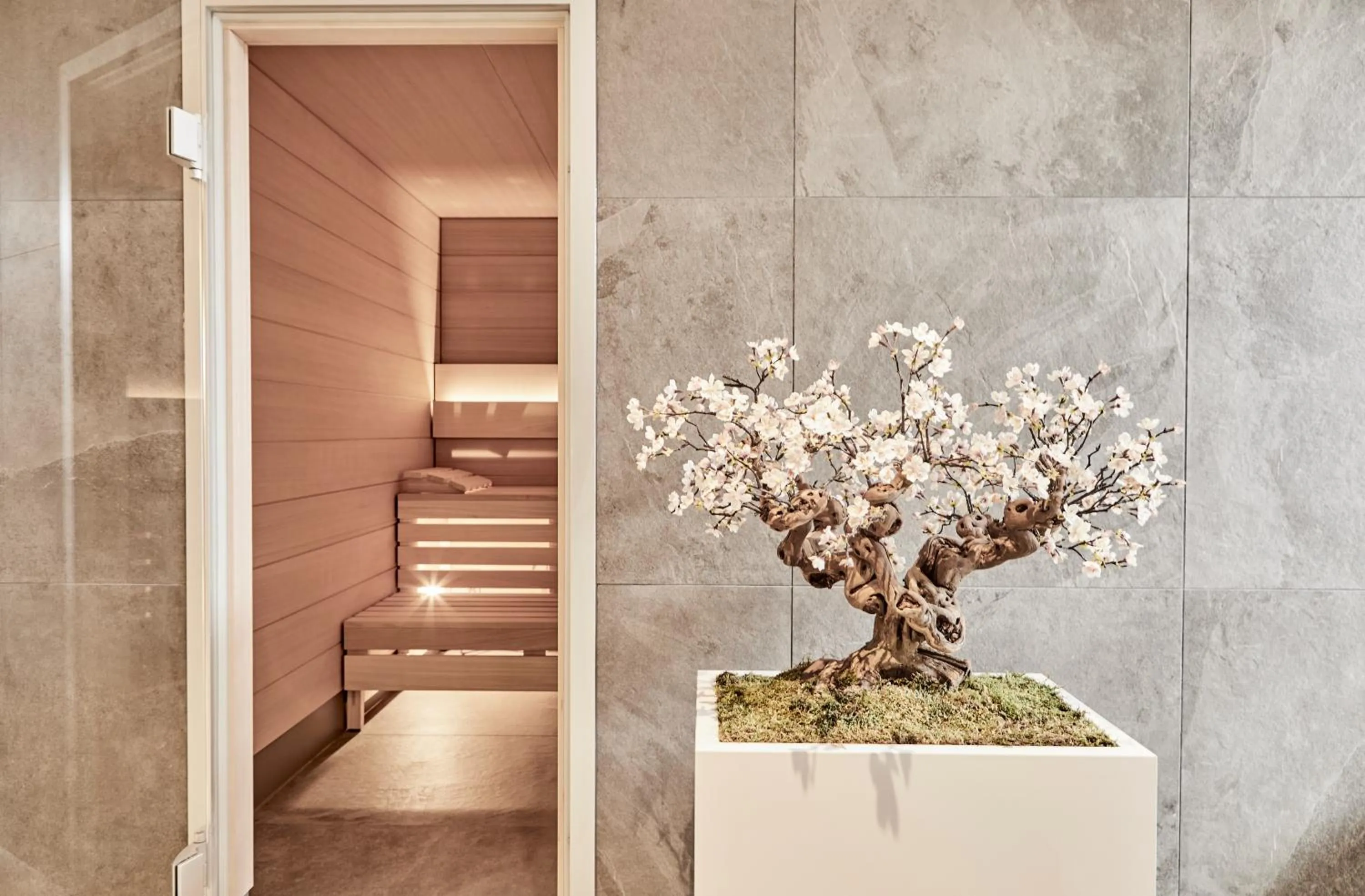 Spa and wellness centre/facilities in Baltic Hideaways Beach Hotel Warnemünde