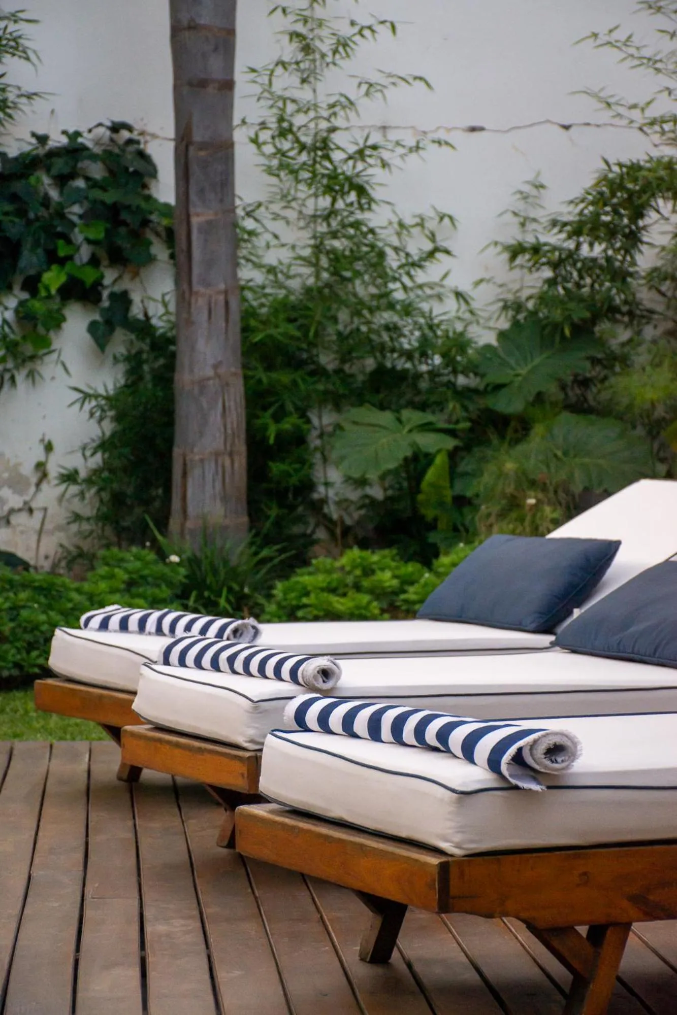 Garden in Villa Vicuña Salta Hotel Boutique