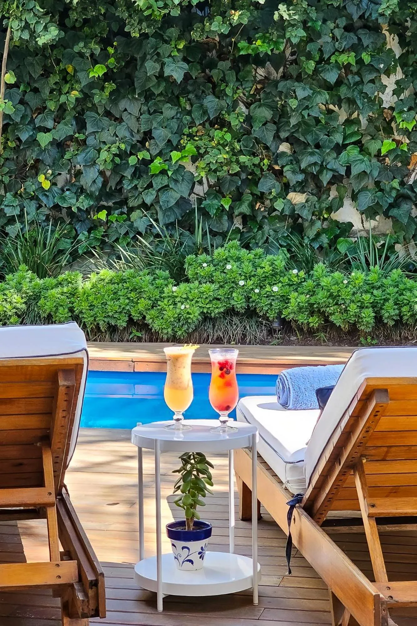 Spring in Villa Vicuña Salta Hotel Boutique