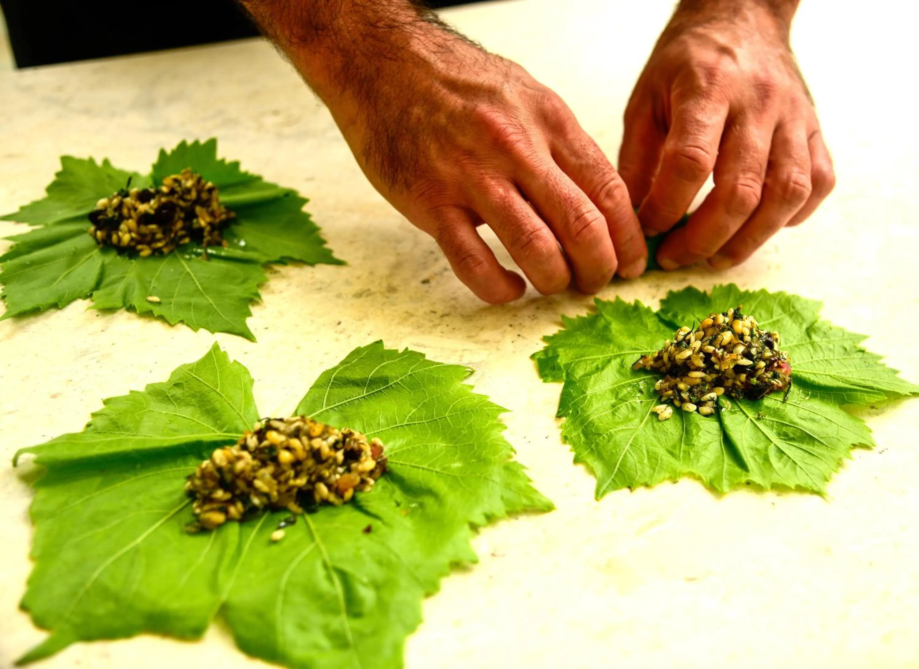 Spring in White Cocoon Exclusive villas