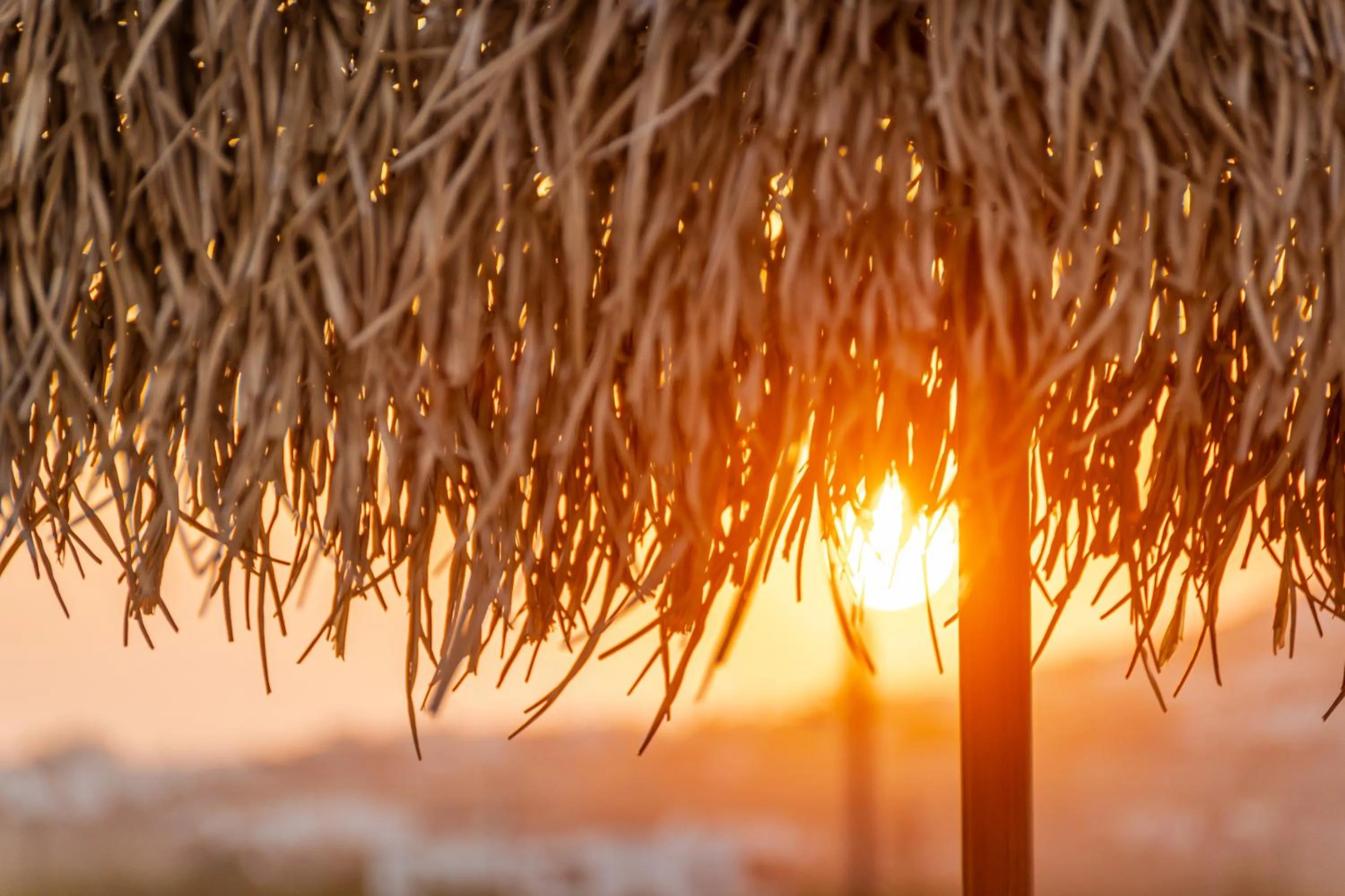 Patio in White Cocoon Exclusive villas