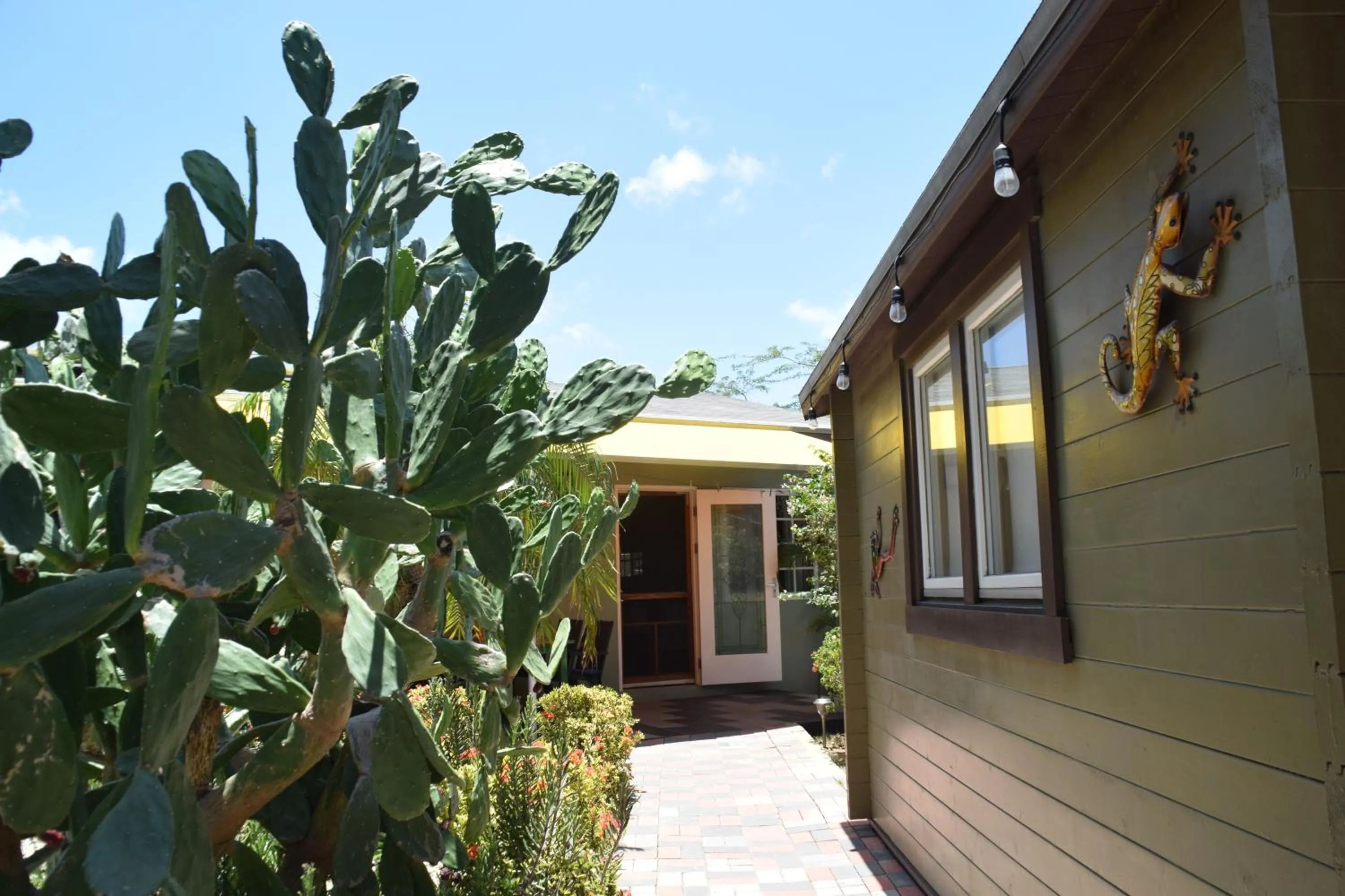 Garden in La Felicidad Aruba