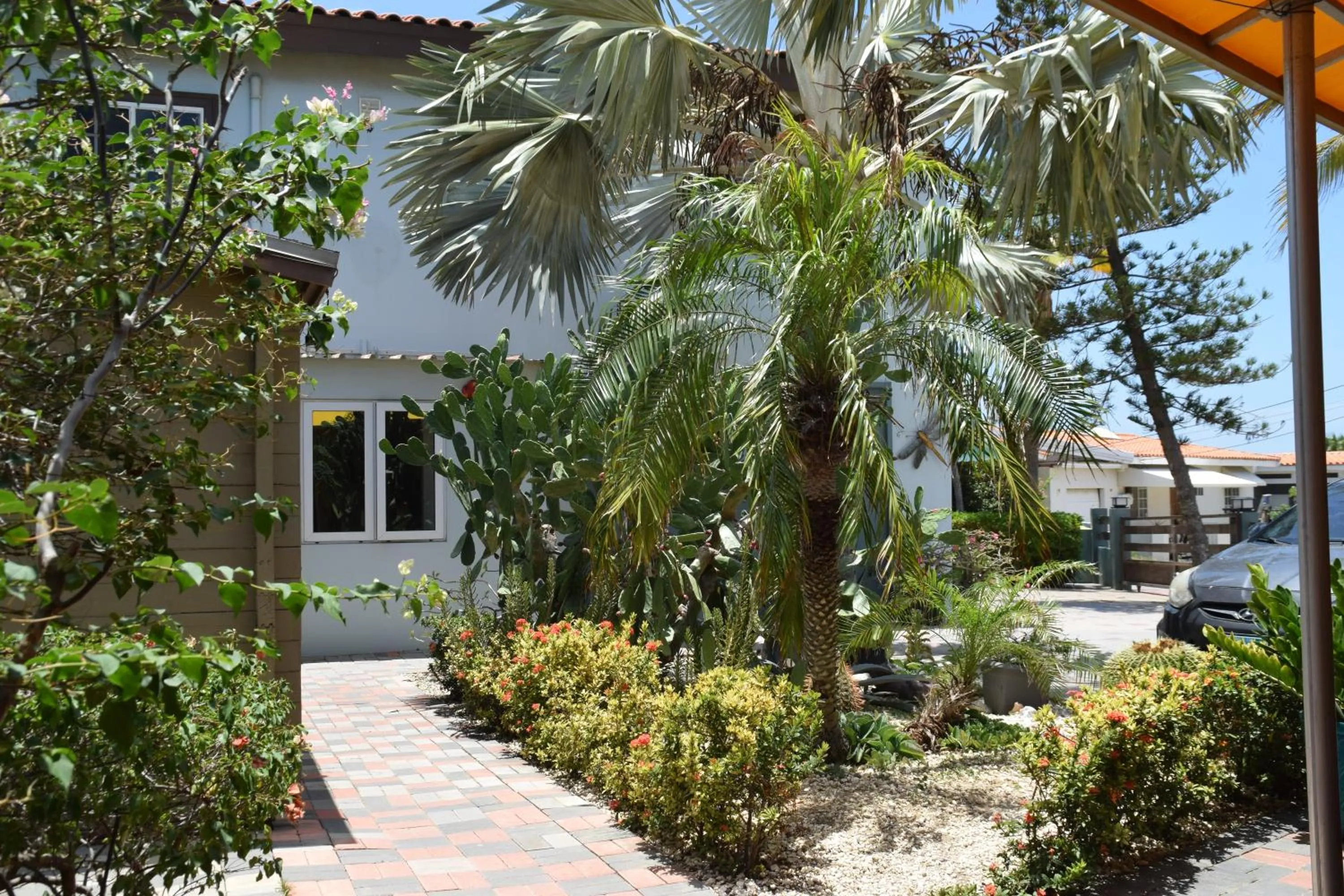 Garden in La Felicidad Aruba