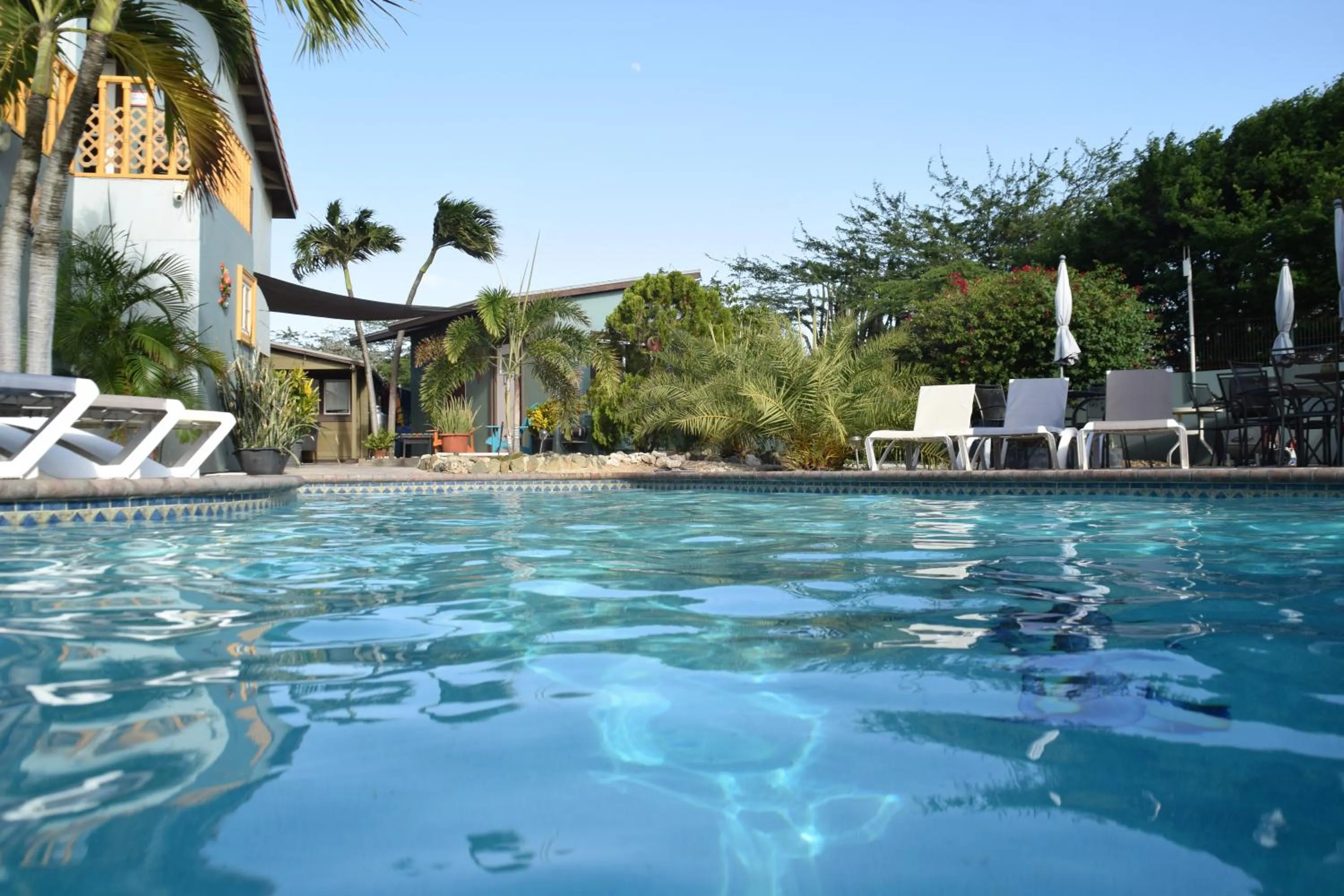 Swimming pool in La Felicidad Aruba