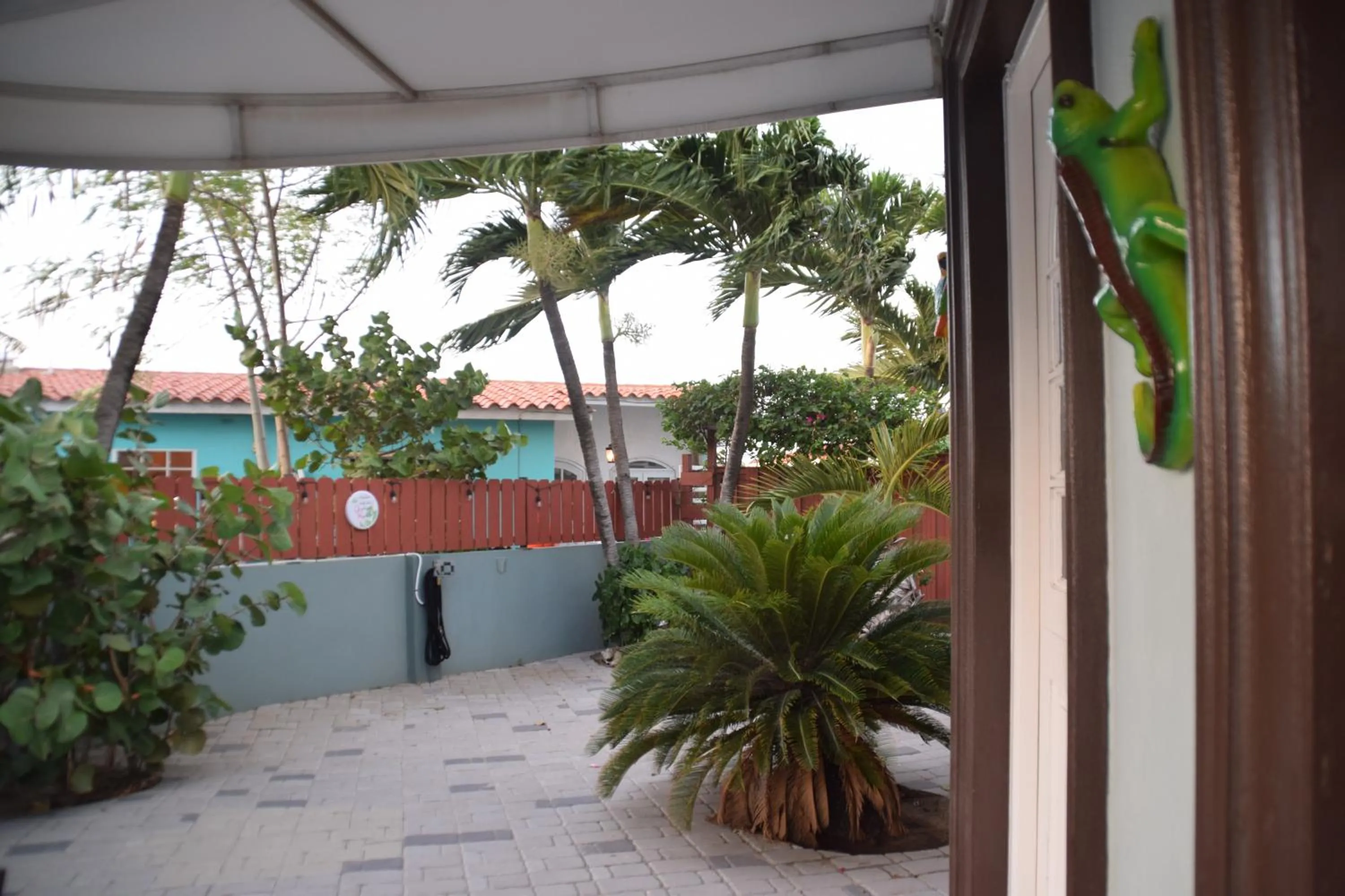 Garden view in La Felicidad Aruba