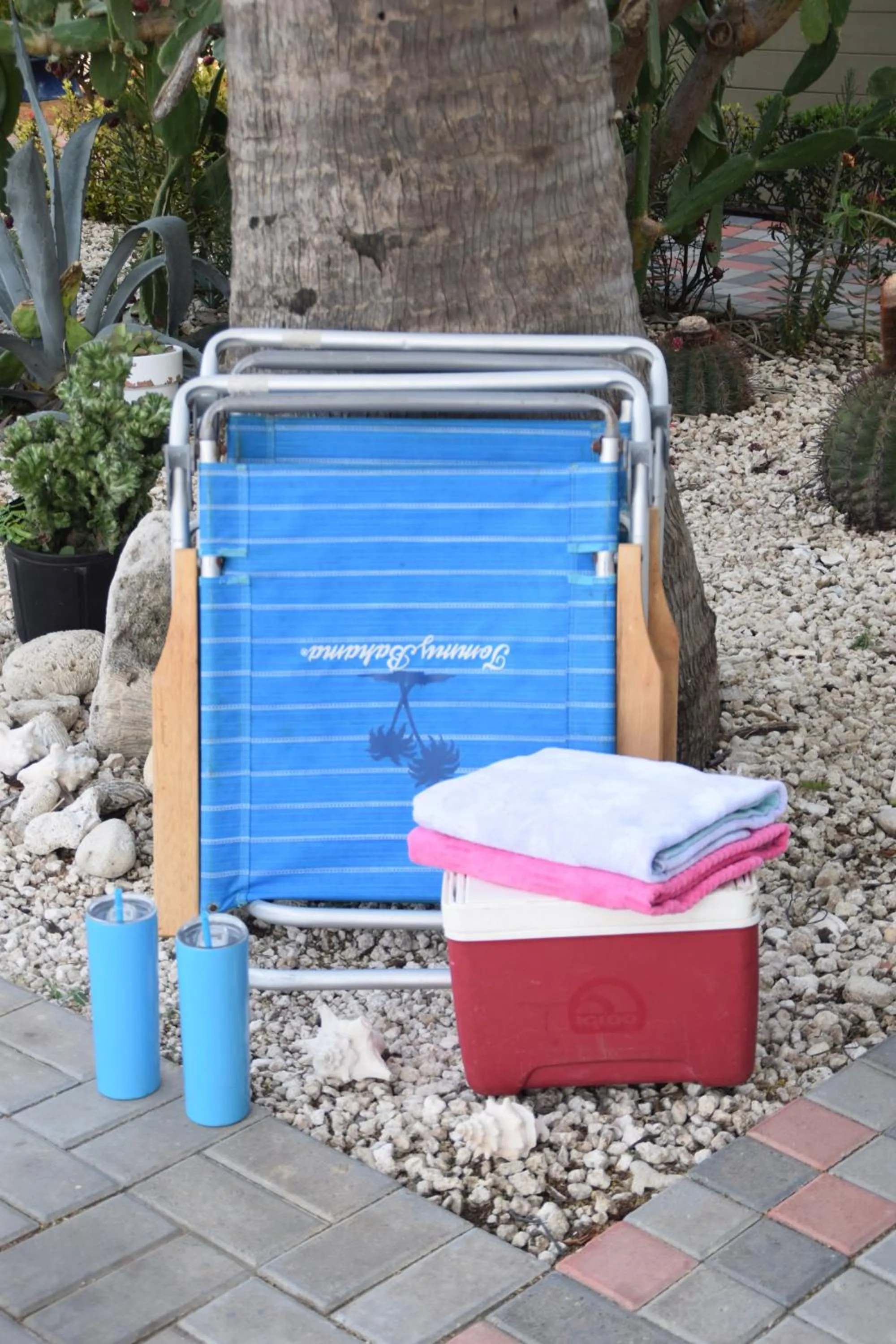 Beach in La Felicidad Aruba