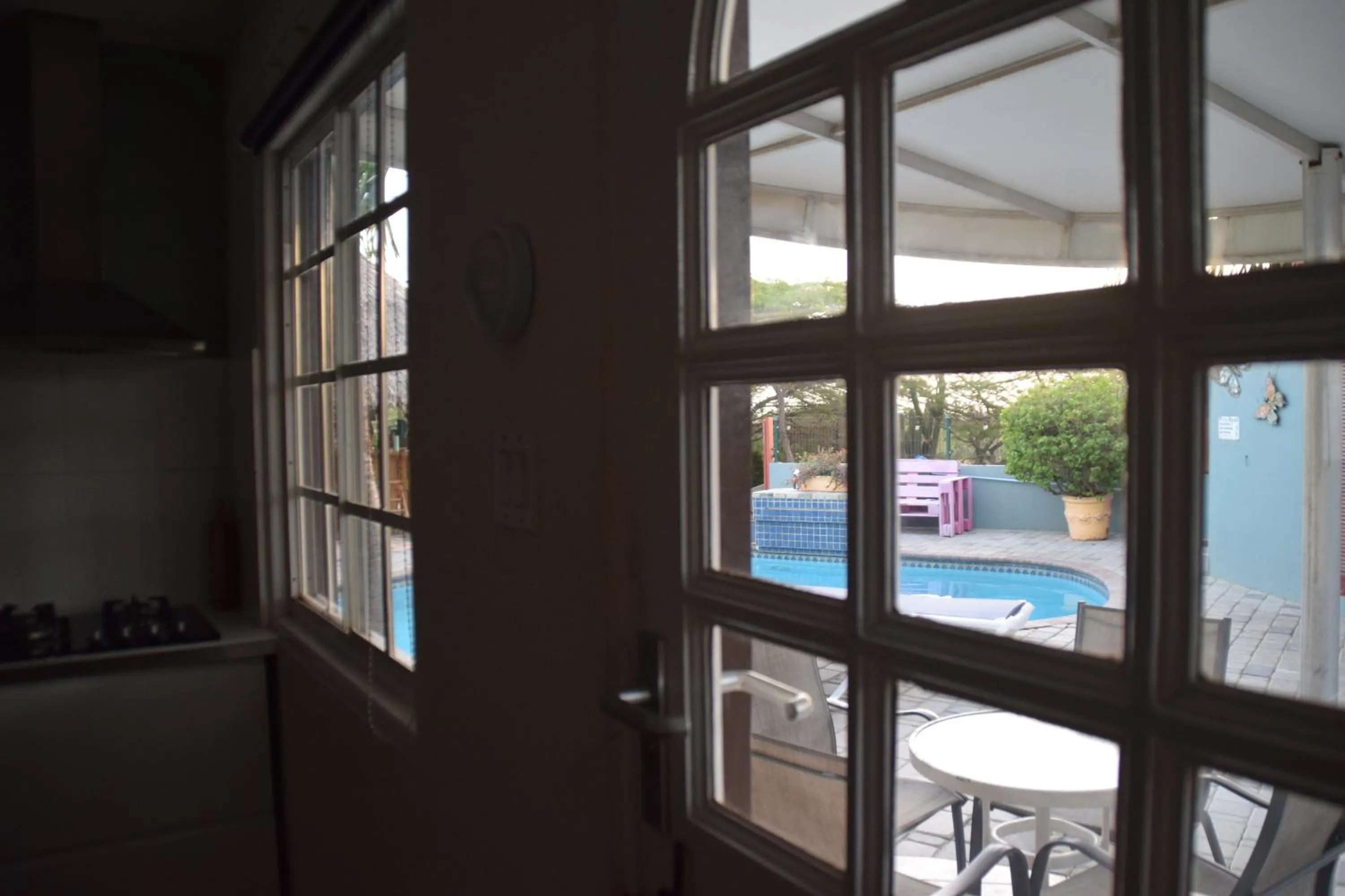 Pool view in La Felicidad Aruba