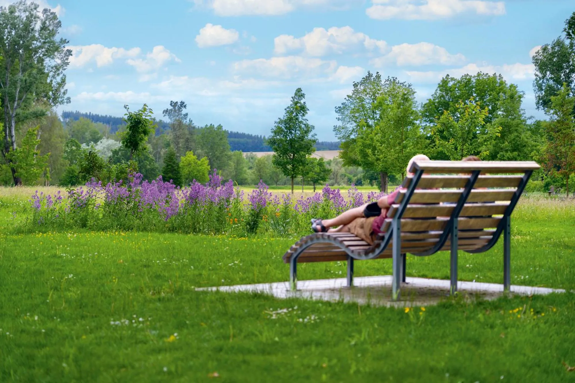 Natural landscape in Hotel Chrysantihof