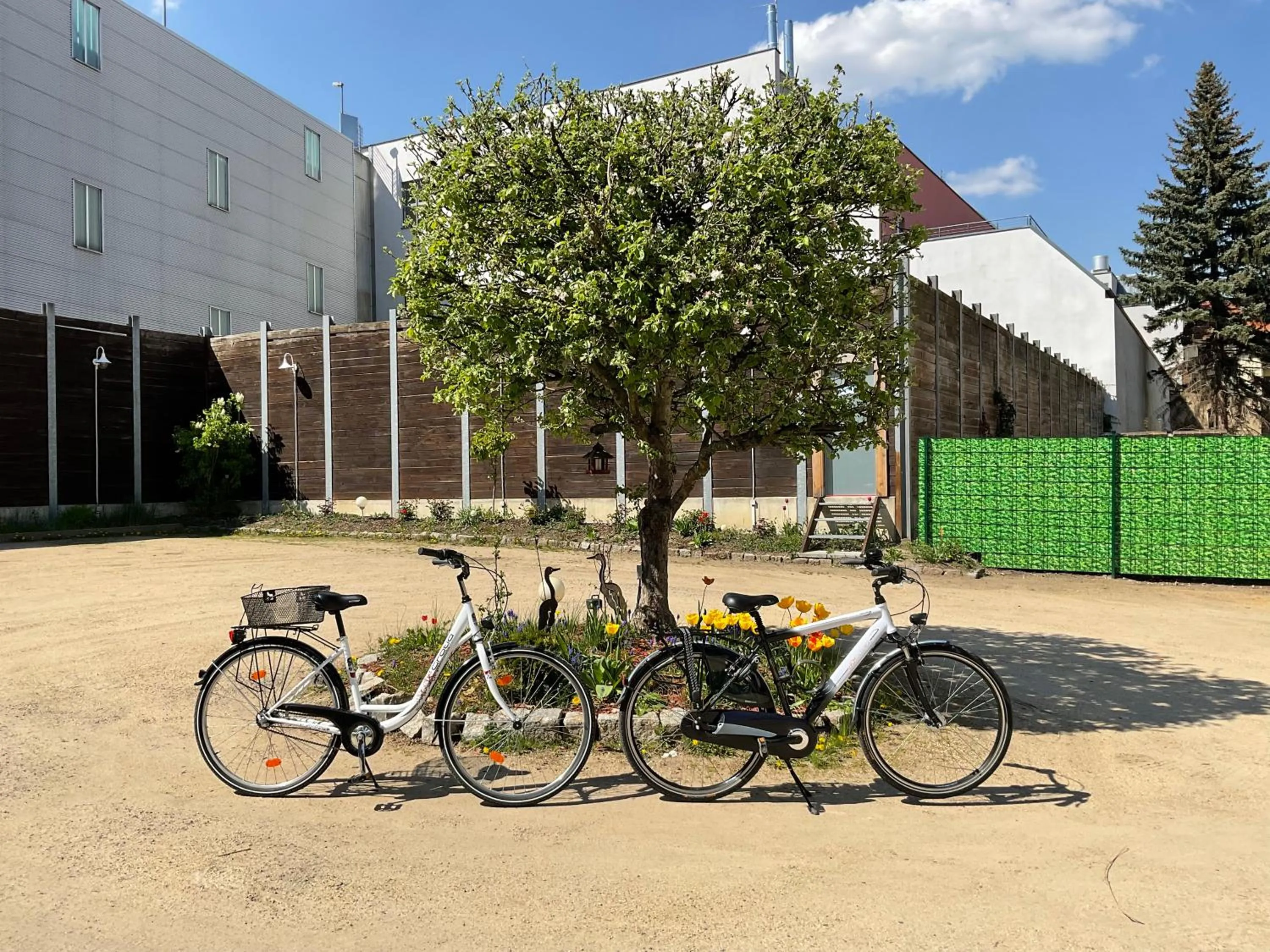 Cycling in Hotel Meridian