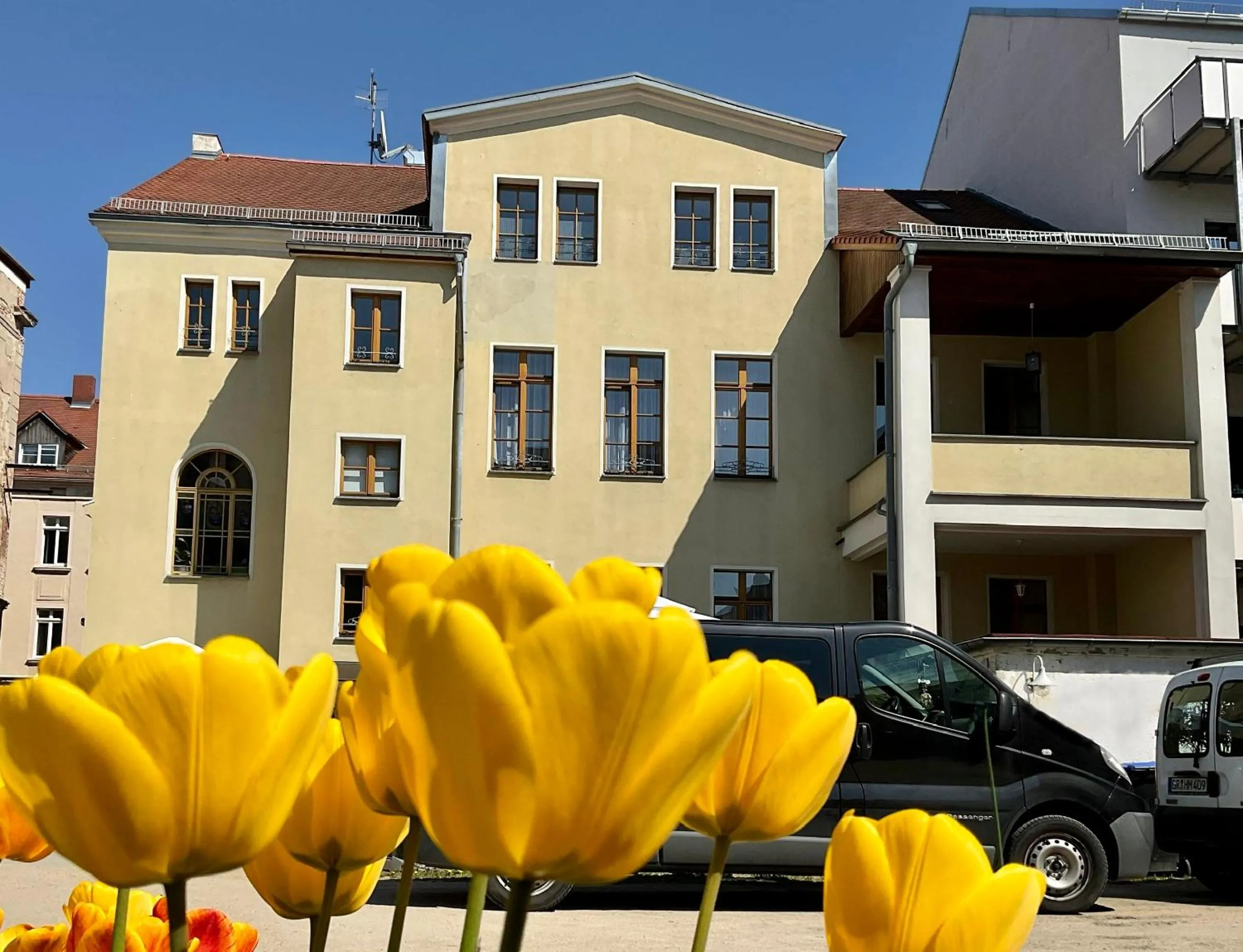 View (from property/room) in Hotel Meridian