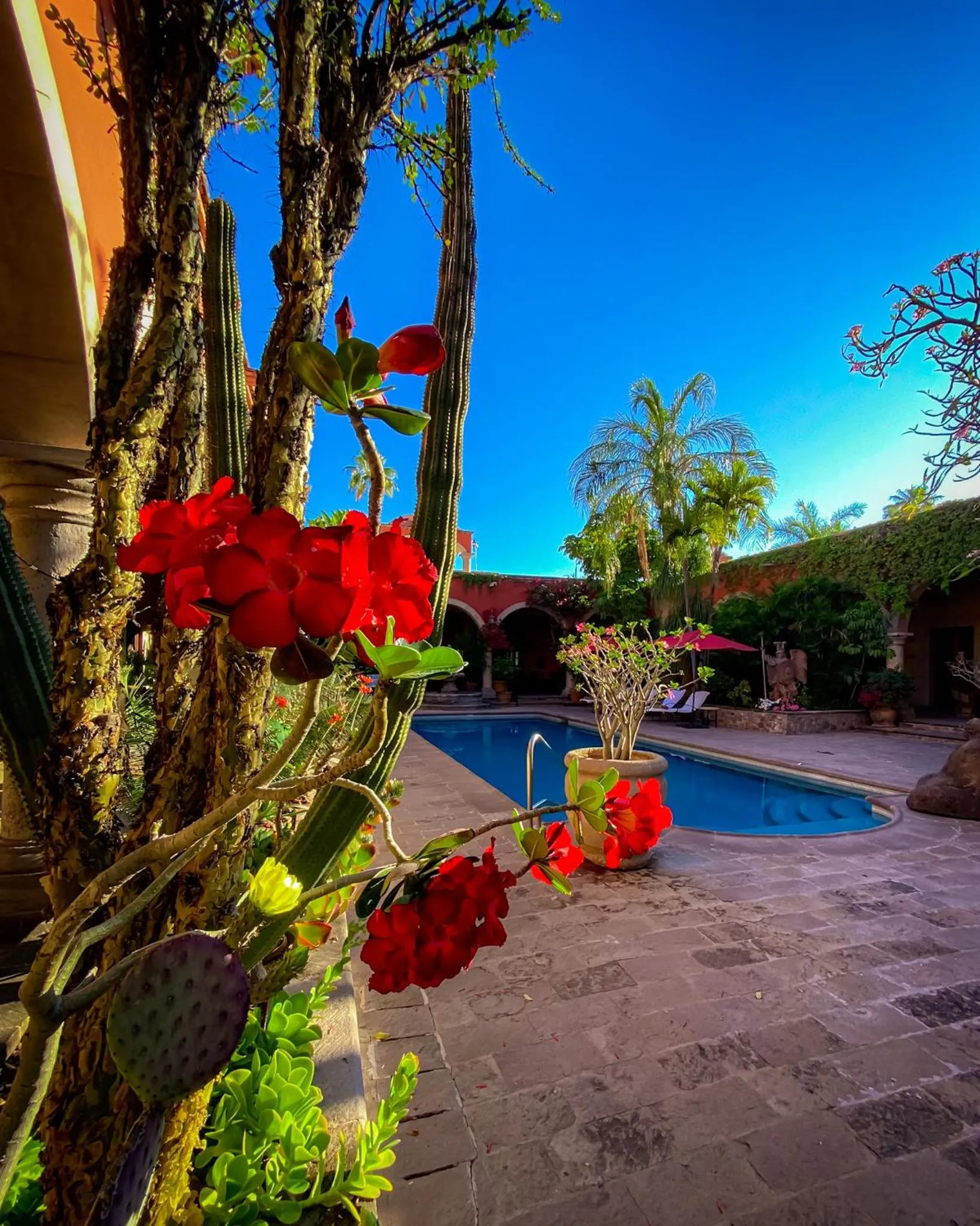 Hacienda de los Santos