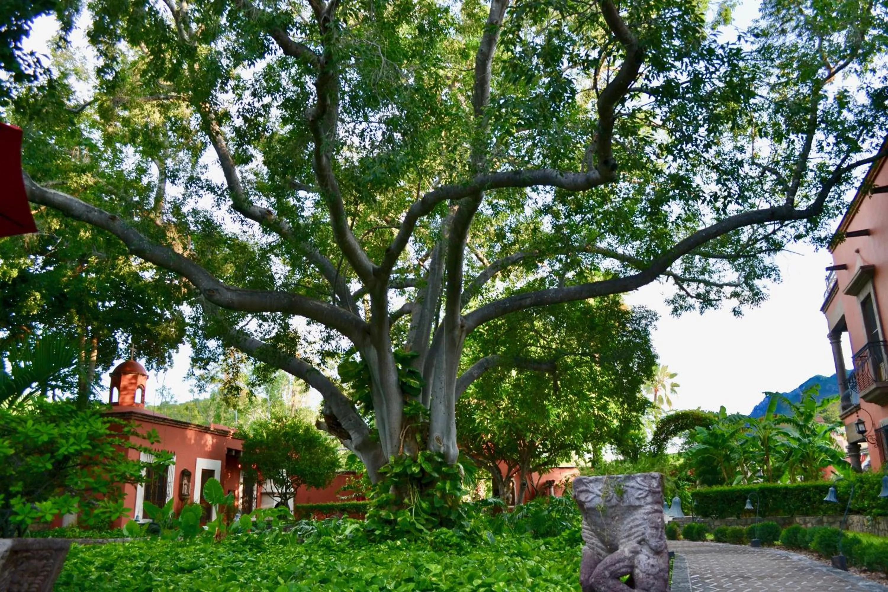 Garden in Hacienda de los Santos
