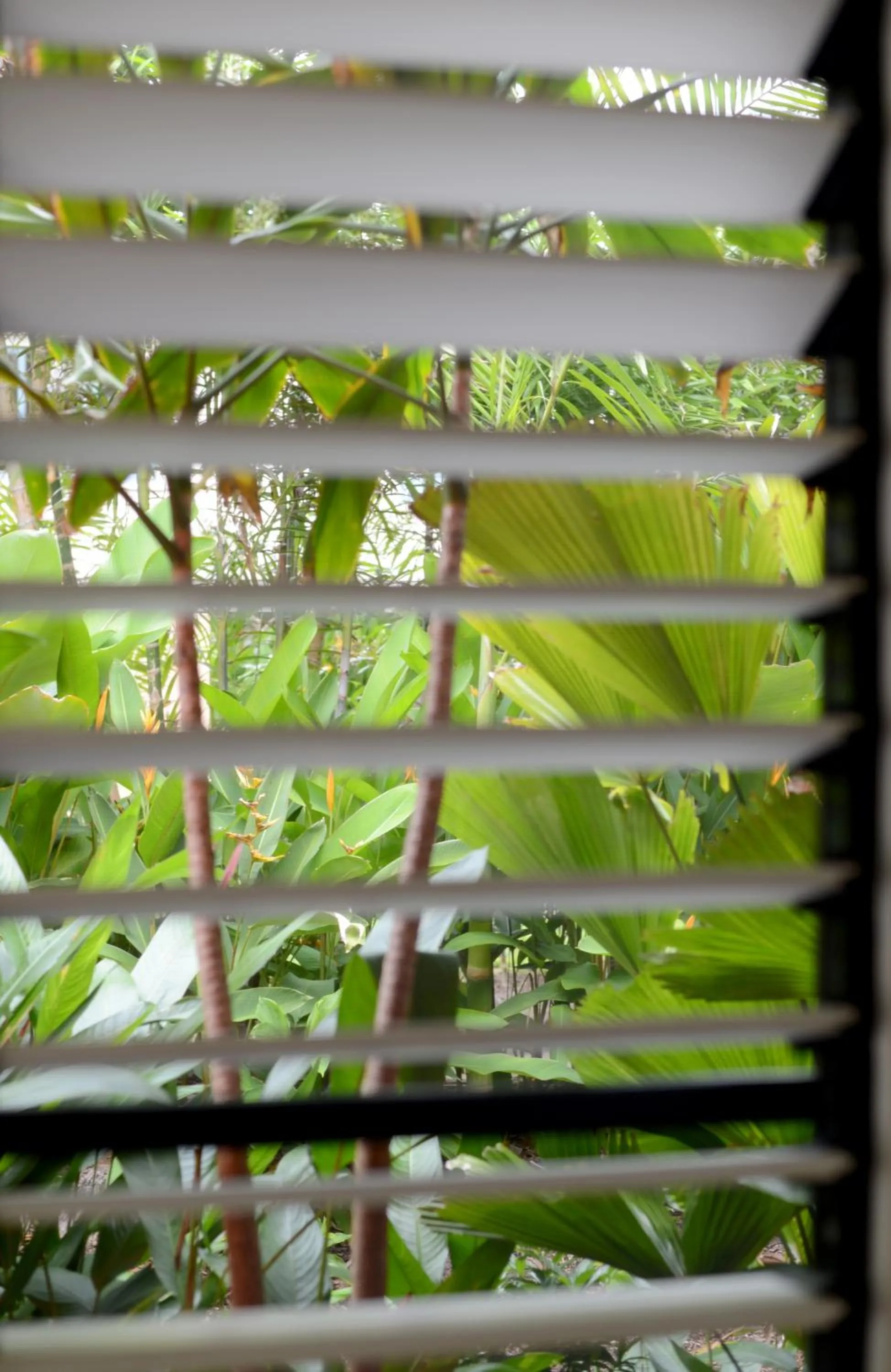 Garden in Sejala Beach Huts