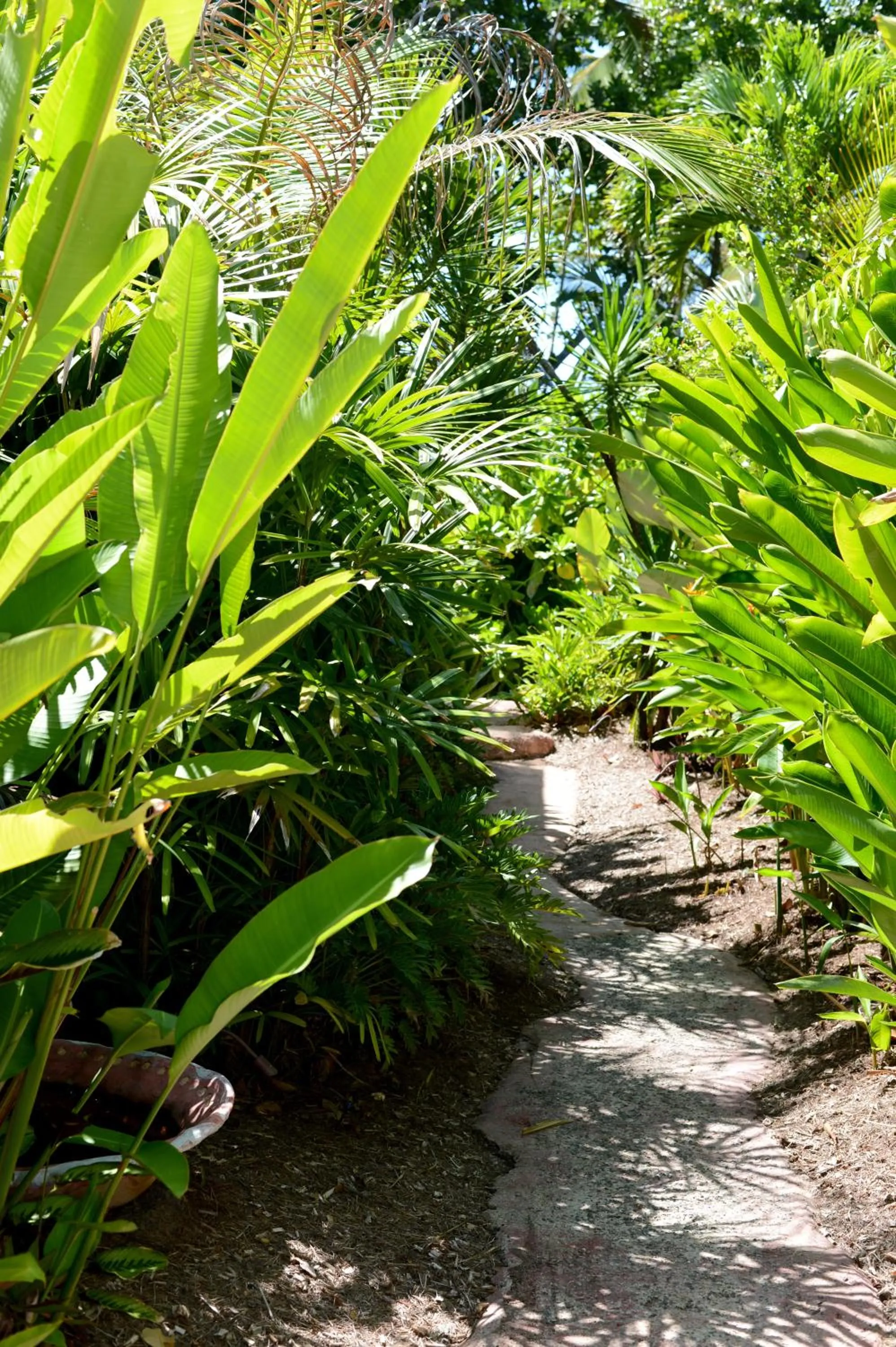 Garden in Sejala Beach Huts