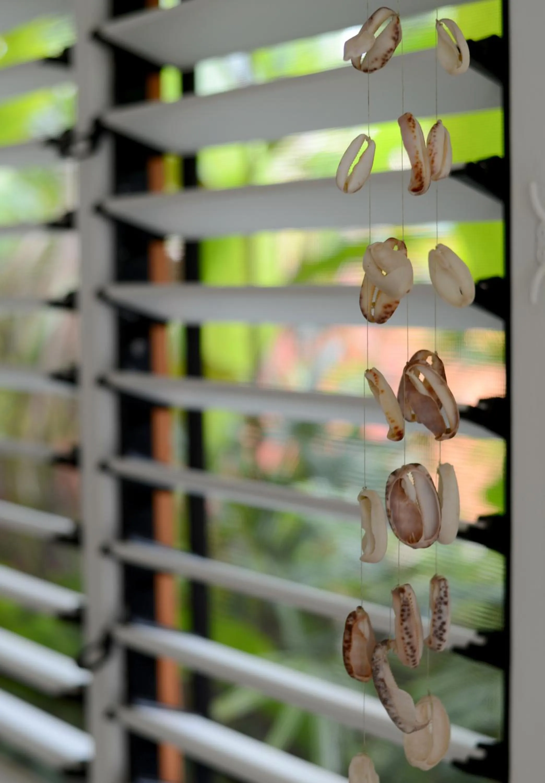 Garden view in Sejala Beach Huts