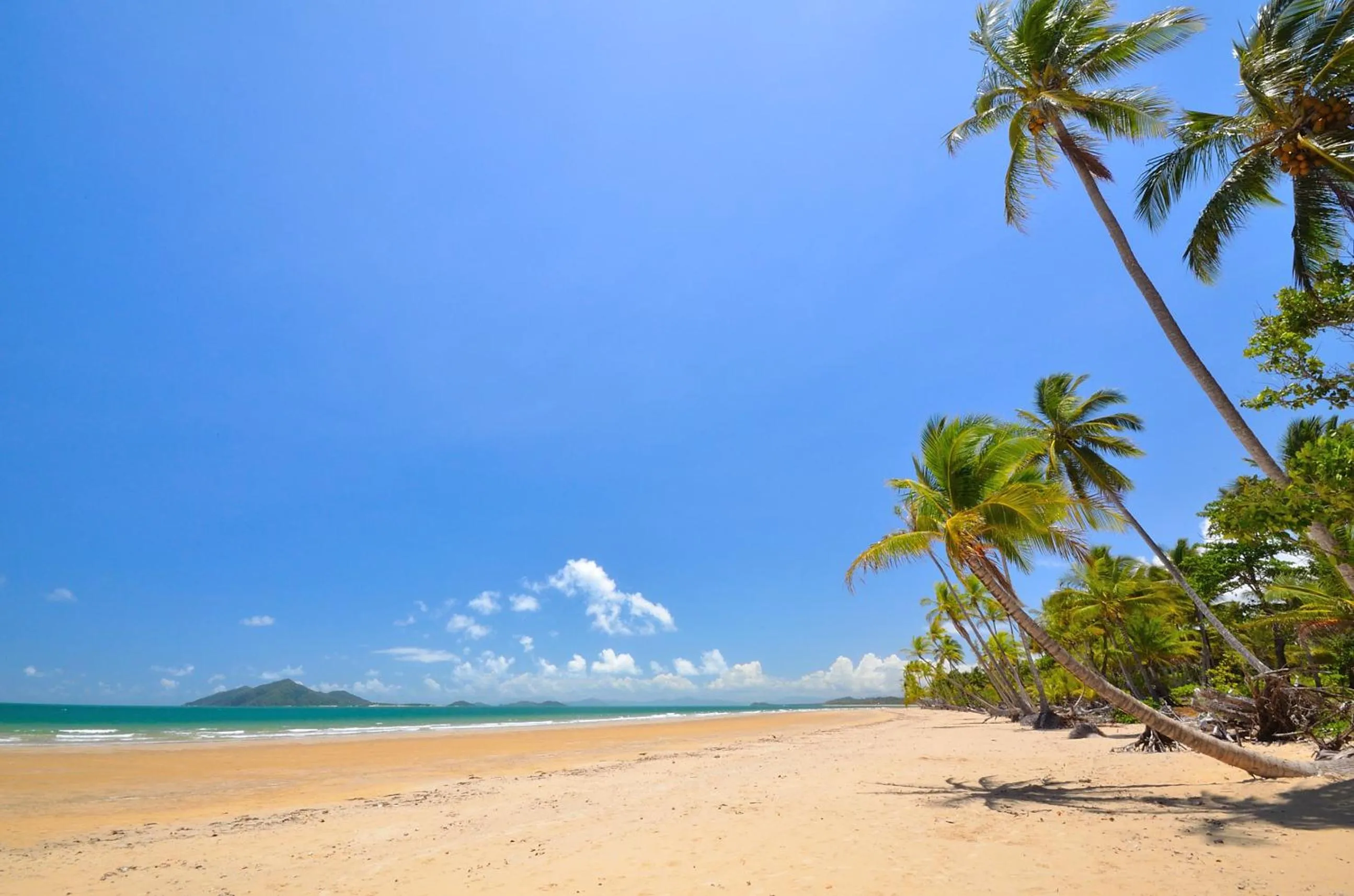 Beach in Sejala Beach Huts