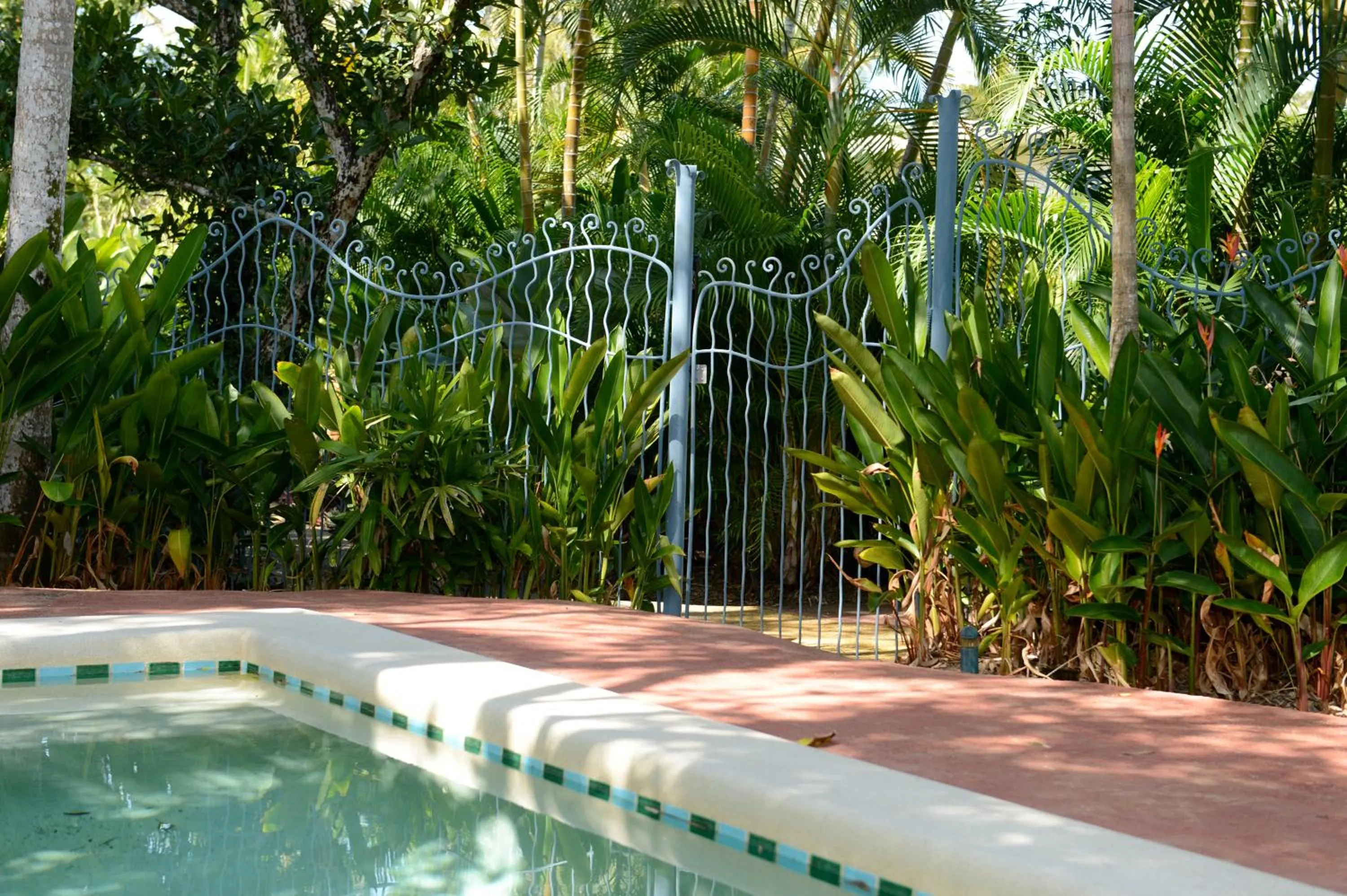 Swimming pool in Sejala Beach Huts