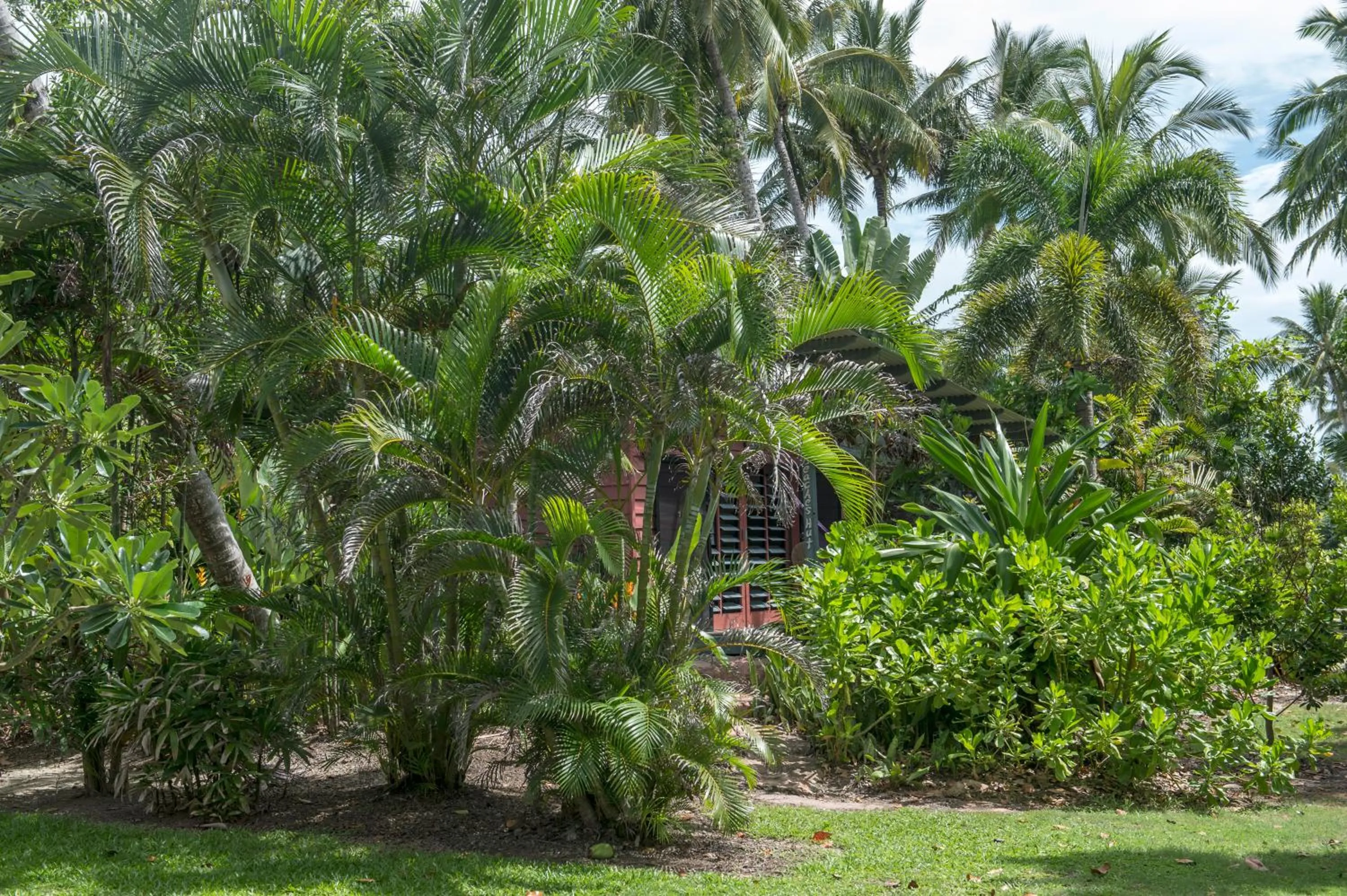 Garden in Sejala Beach Huts