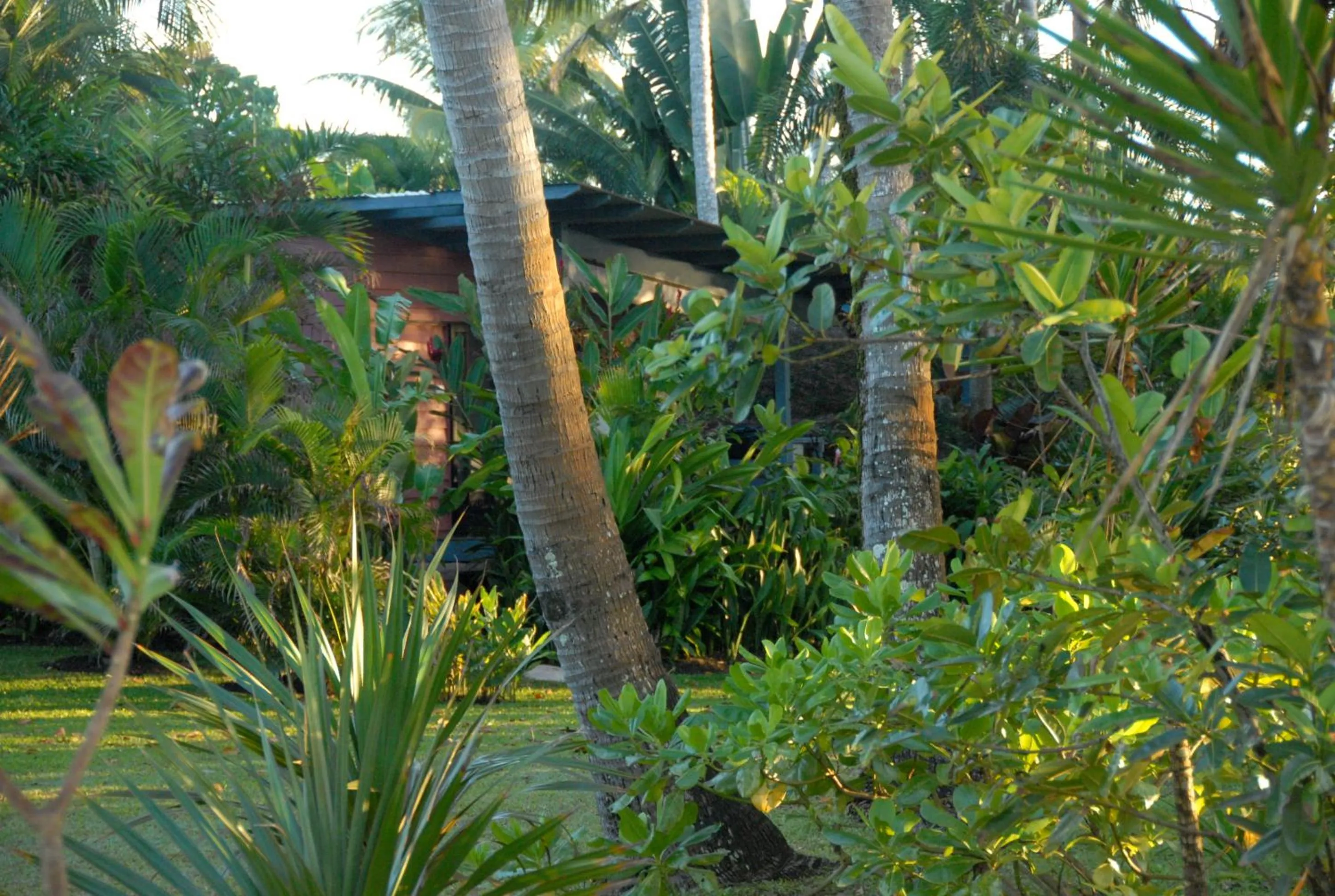 Facade/entrance in Sejala Beach Huts