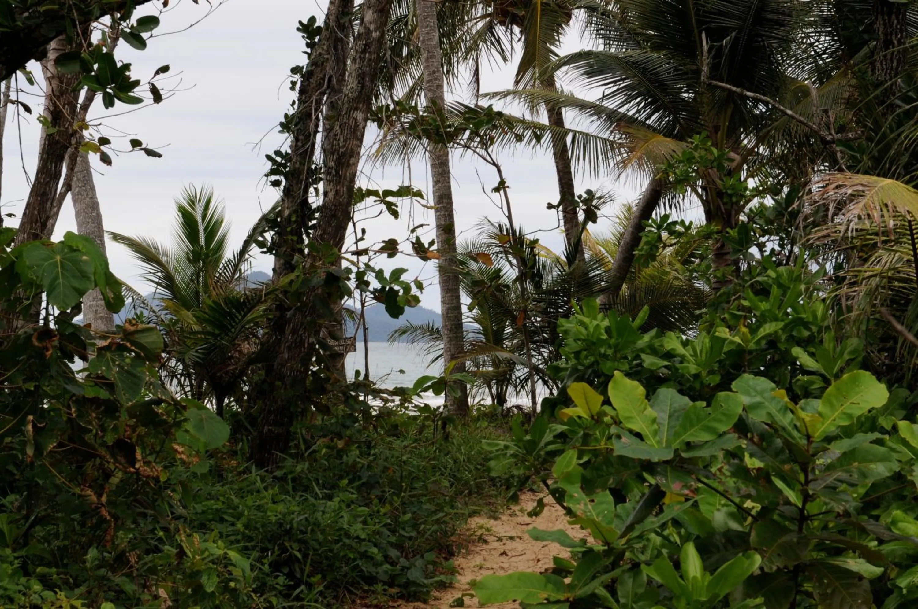 Garden in Sejala Beach Huts