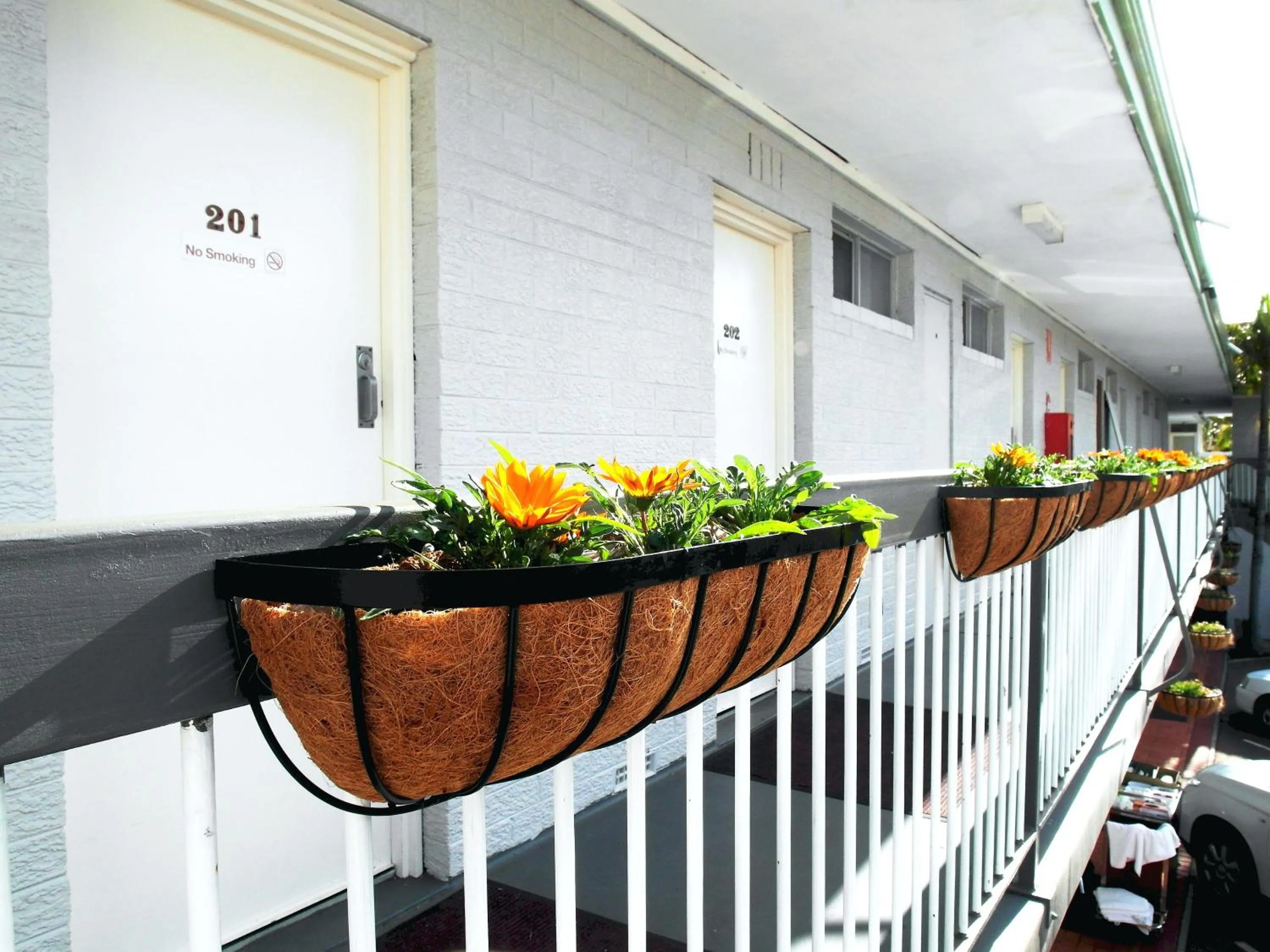 View (from property/room) in Econo Lodge Rivervale