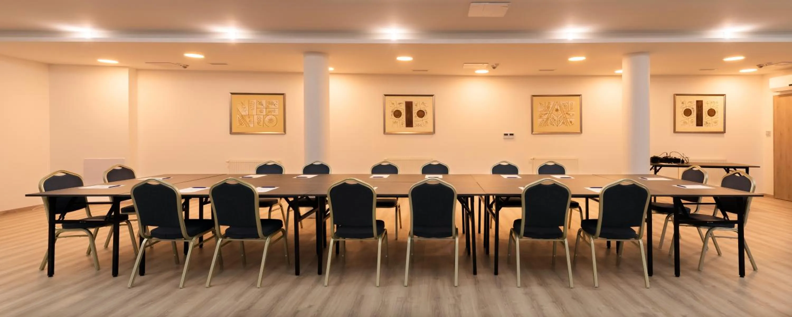 Meeting/conference room in Fibula Residence Hotel & Wellness - Adults Only