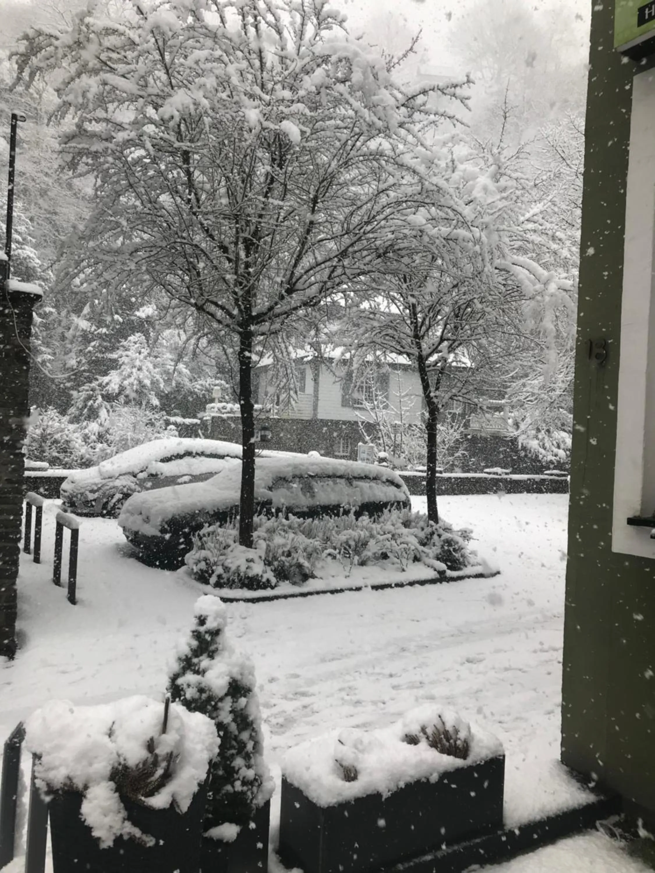 Winter in Hotel Alt Montjoie